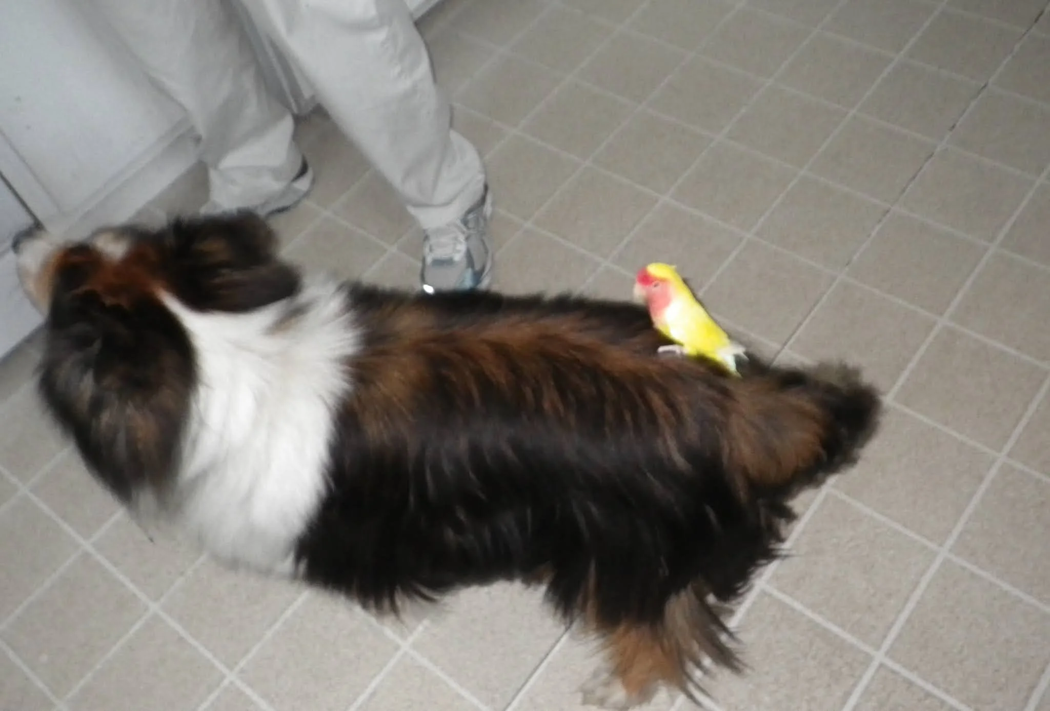 Gloucester (15 of 15).JPG