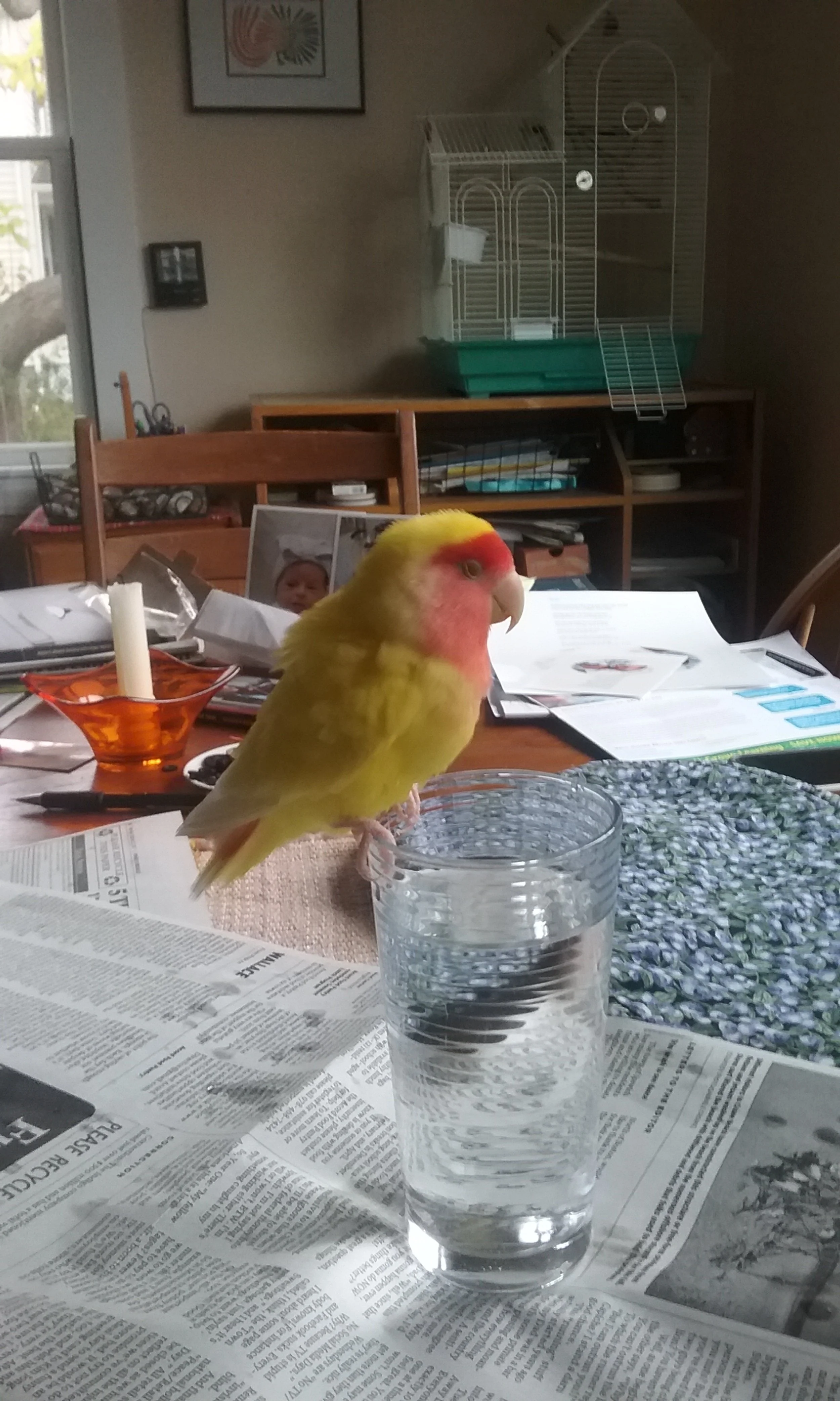 20171106_092944.jpg