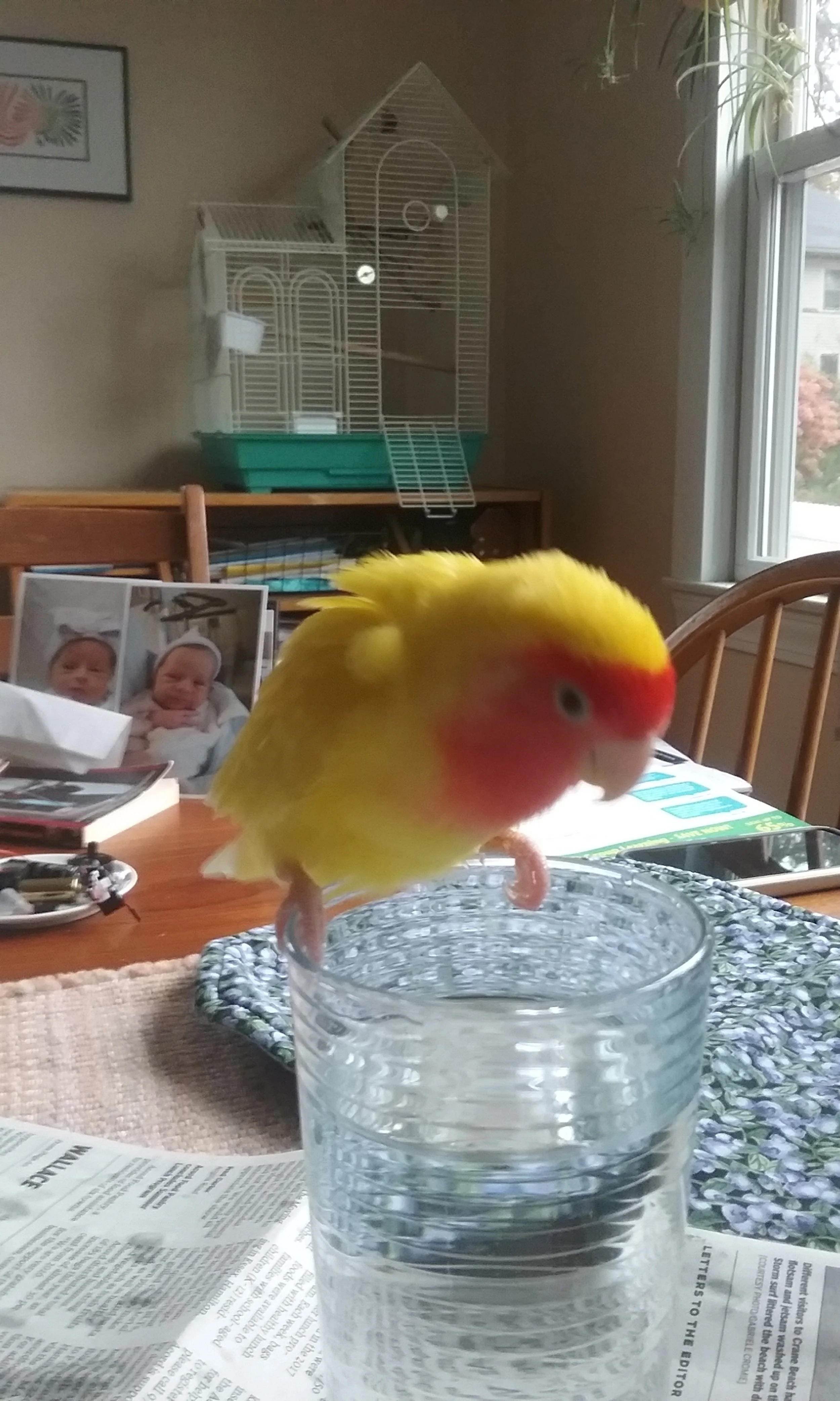 20171106_093022.jpg