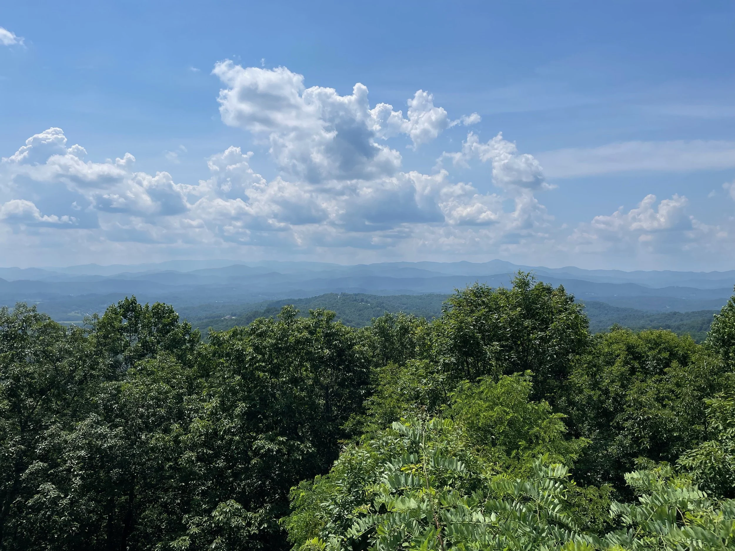 A scenic view of green trees in the foreground with a mountain range and a bright blue sky with scattered clouds in the background.