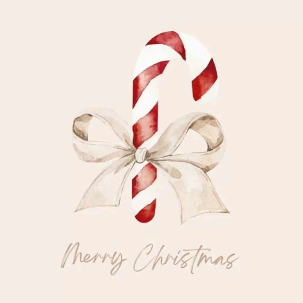 Merry Christmas to all our amazing clients and friends. 🤍🤍

Love,
The Flex Pilates team ❤️💚