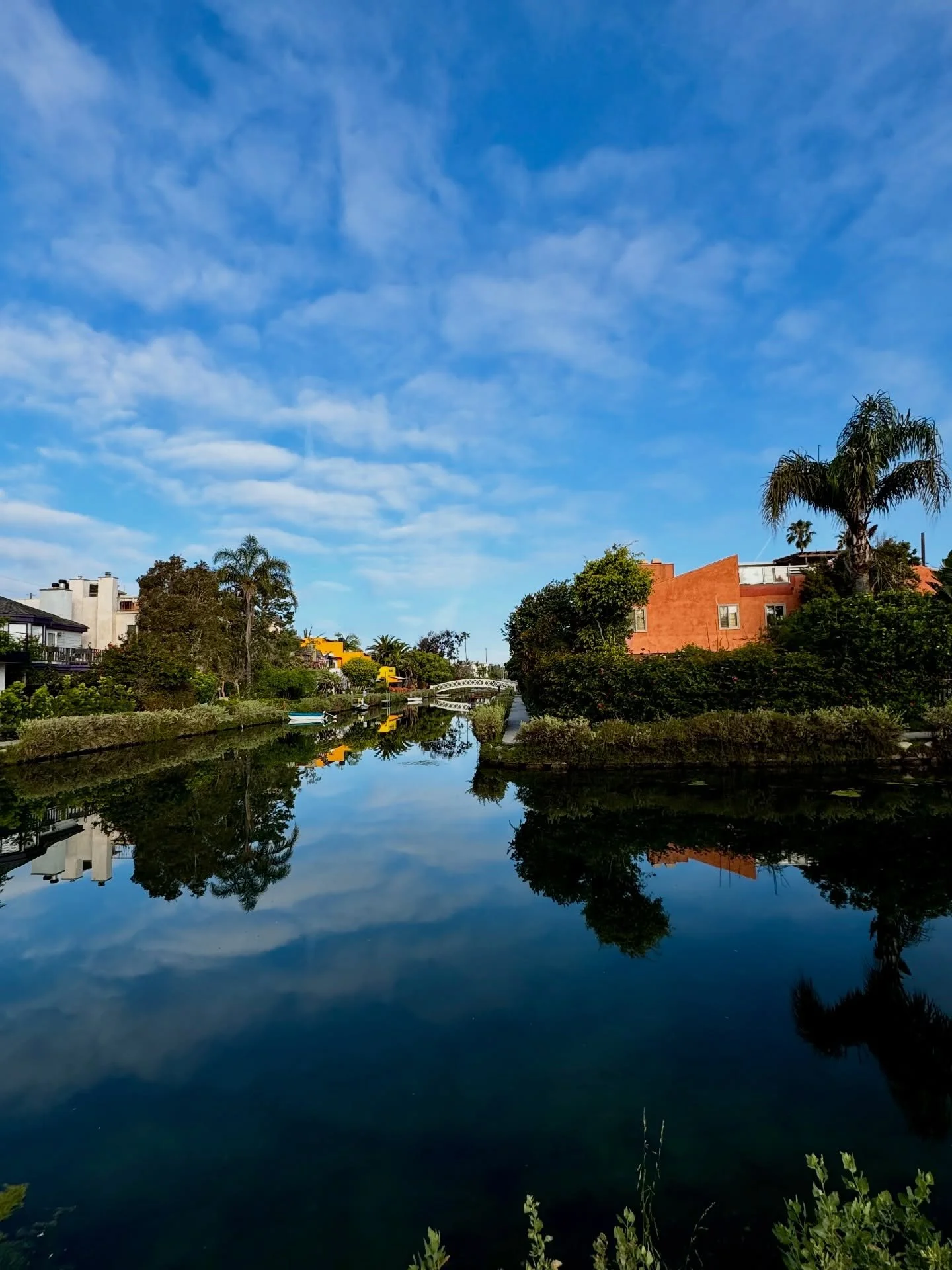 Went to the West Coast for a bit for some sunshine, food, friends, and carrot cake ☀️🥰🌴