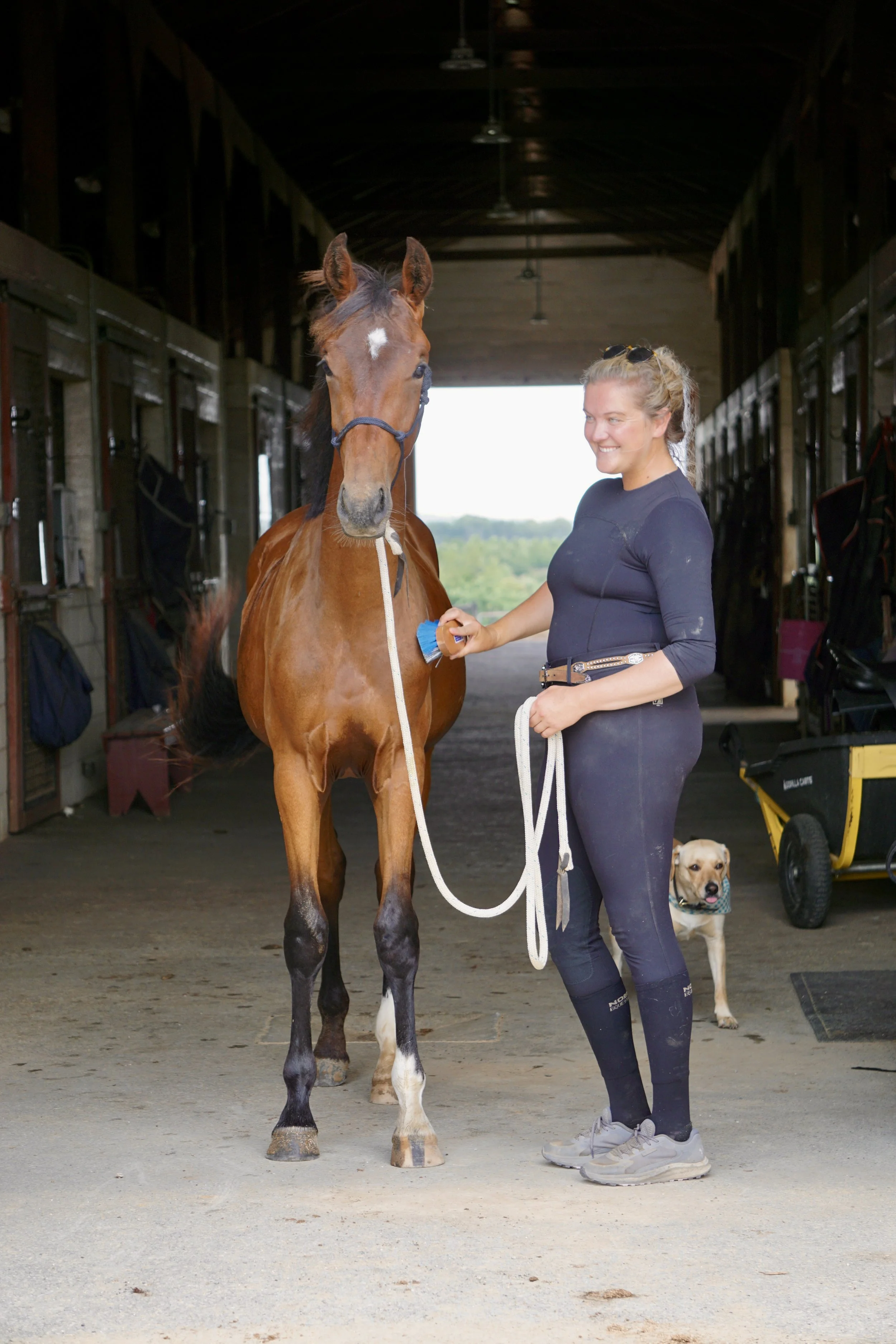 A woman is brushing a chestnut-colored horse inside a stable with two dogs present, one near her feet wearing a bandana and the other in the background near some equipment.
