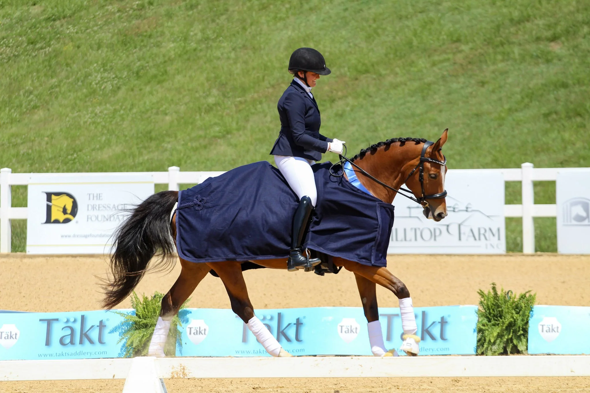 A rider on a brown horse in a dressage arena, wearing a navy jacket, white breeches, a black helmet, and white gloves, with a green grassy background and sponsor banners along the fence.