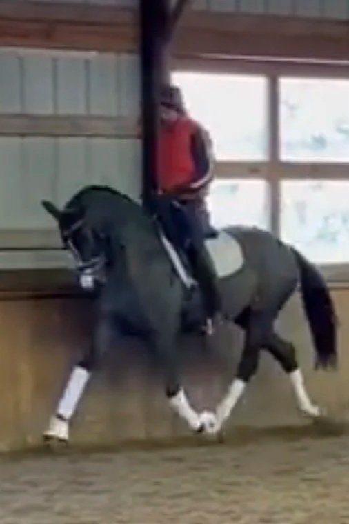 Person riding a black horse with white markings inside an indoor riding arena.
