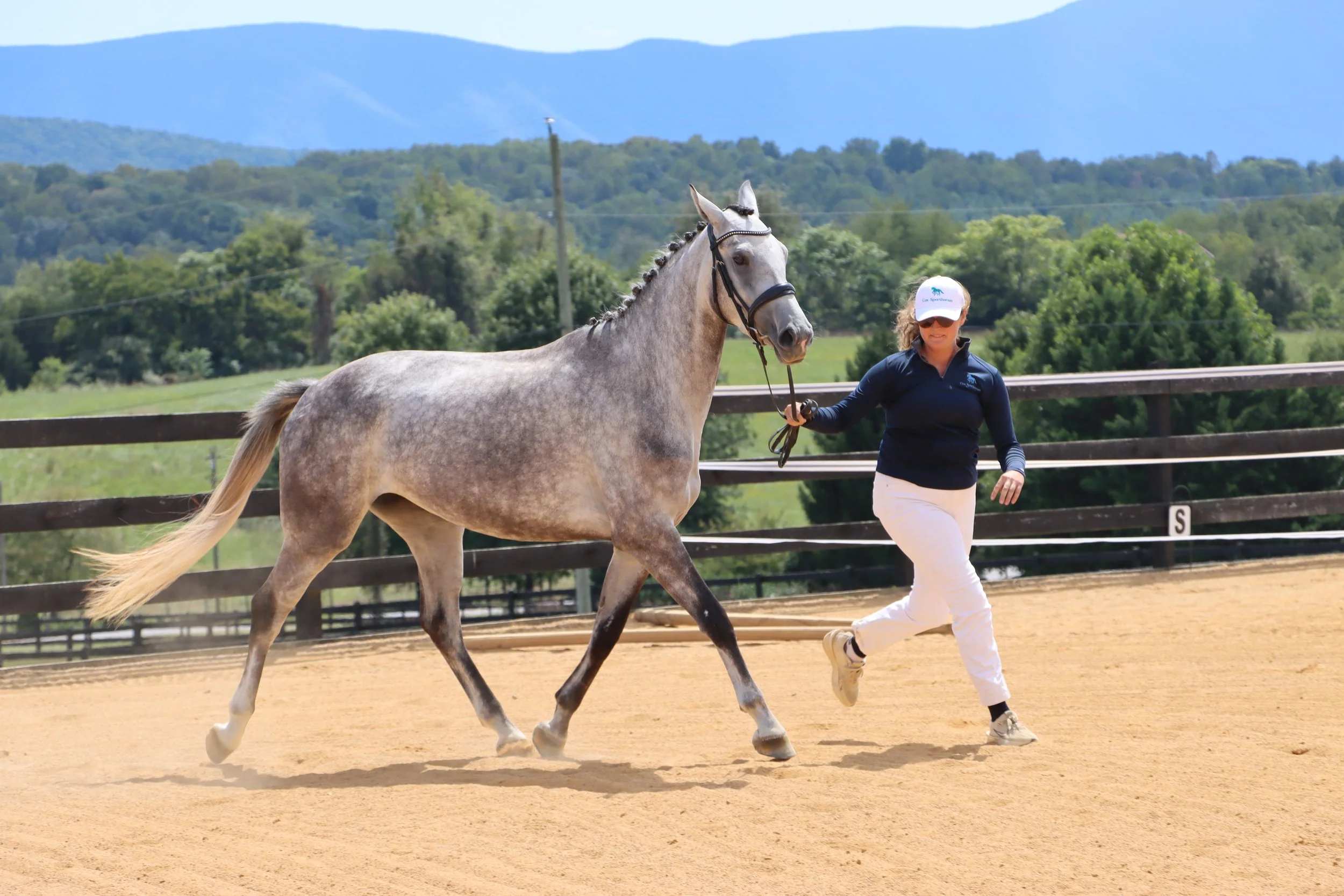 Woman leading a grey horse on a sandy outdoor riding arena with green trees and mountains in the background.