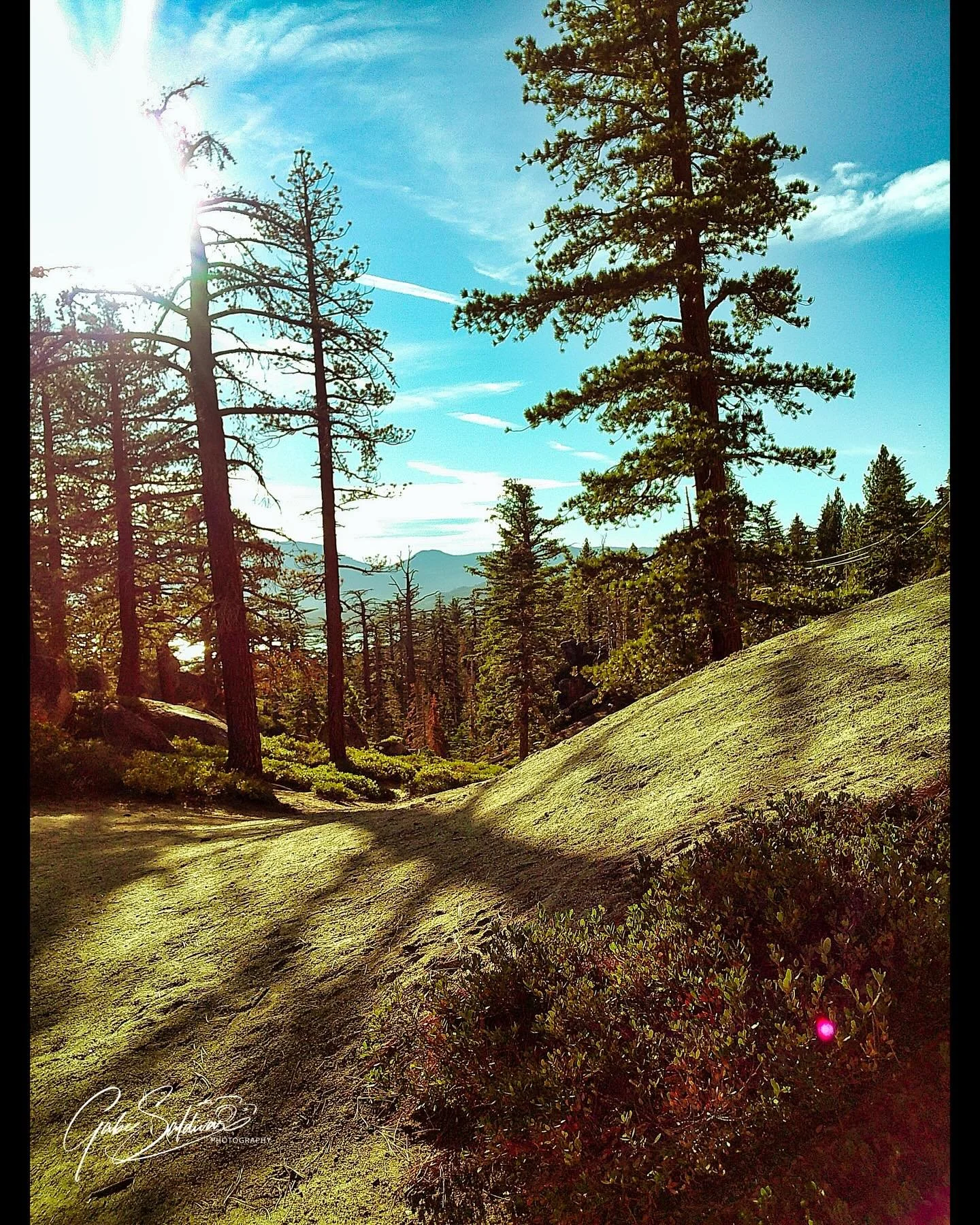Somewhere in South Lake Tahoe on the side of the road using @campsnapcamera #gabesaldivarphotography 
#gabesaldivar 
#canon 
#canonphotography #canonphotographers #iphonephotography #saintaugustinephotography 
#saintaugustinephotographer
#stjohnscoun