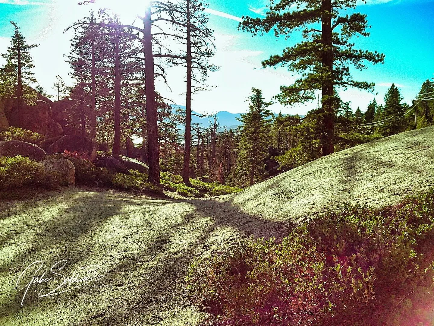 Somewhere in South Lake Tahoe on the side of the road using @campsnapcamera #gabesaldivarphotography 
#gabesaldivar 
#canon 
#canonphotography #canonphotographers #iphonephotography #saintaugustinephotography 
#saintaugustinephotographer
#stjohnscoun