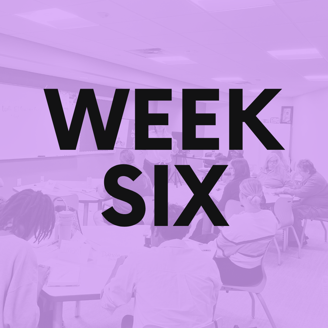 Week Six - Business Entity