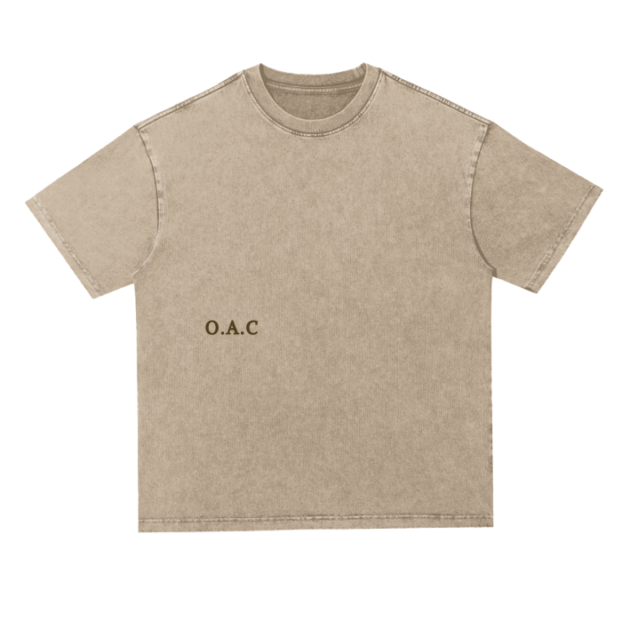 squarespace-upload-temp-2024-12-24-f30f6e5b-4189-4121-9419-f6c1f9510a4b264422778644507581.png