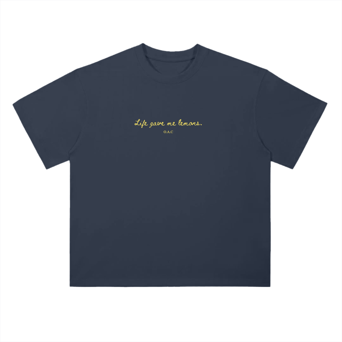 squarespace-upload-temp-2025-03-11-aa2c012b-1adb-4ac8-8ff6-ea13c248518c5205318747522491012.png