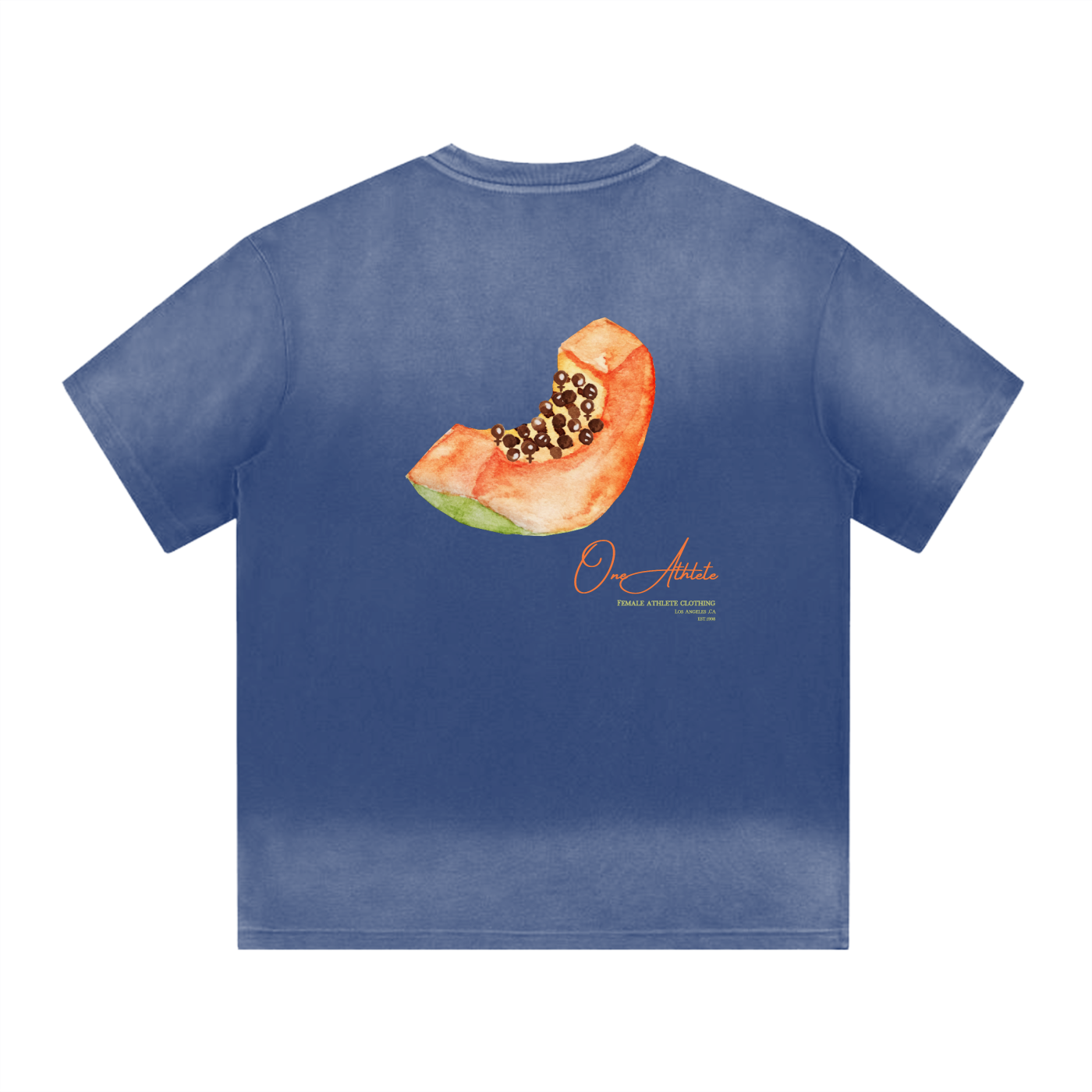 squarespace-upload-temp-2025-03-11-1f25c51a-ecaf-47a4-bbe0-bdadd5c276cd485105247016381860.png