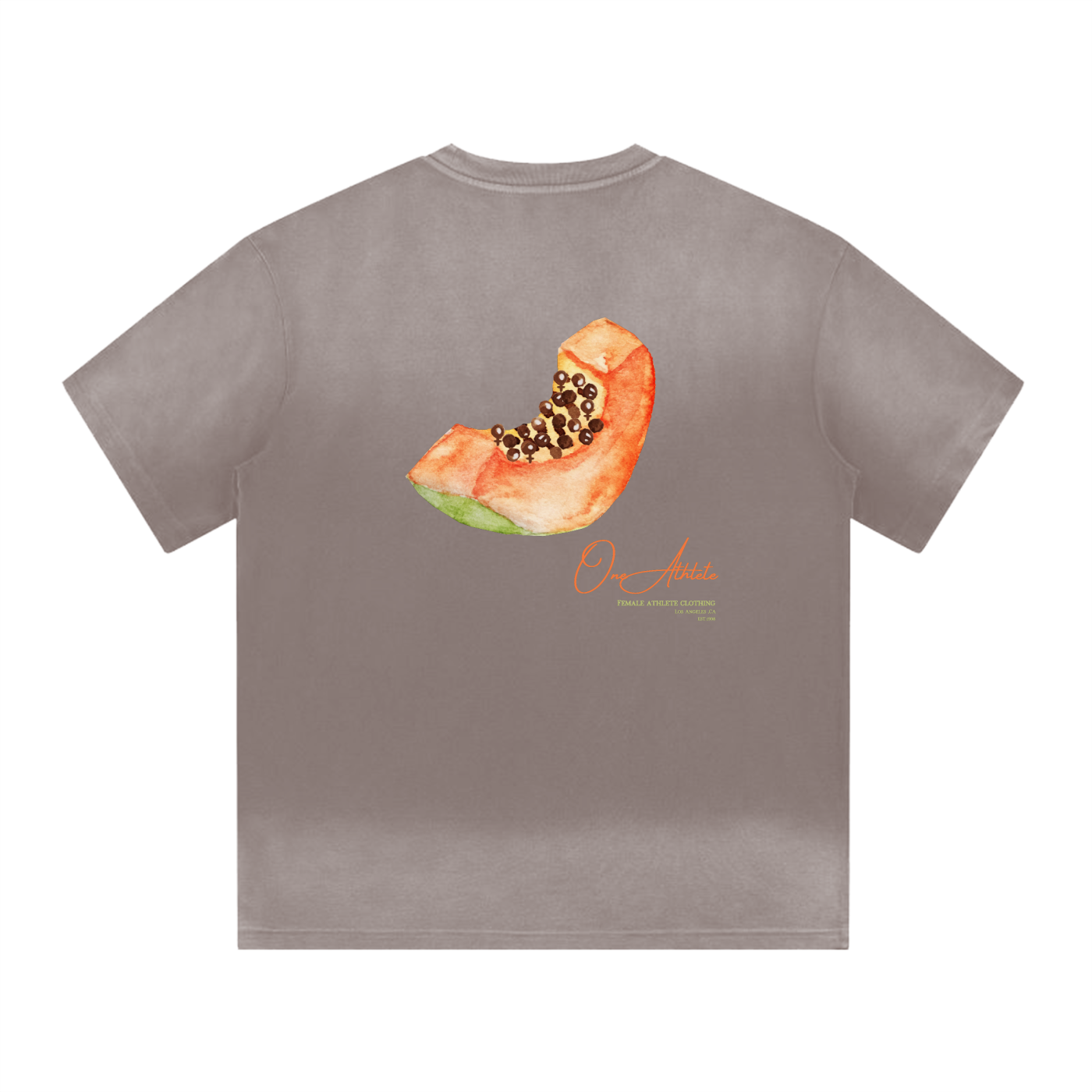 squarespace-upload-temp-2025-03-11-9602b660-5e2a-412d-a38f-08a19c05ad074537976428526150259.png