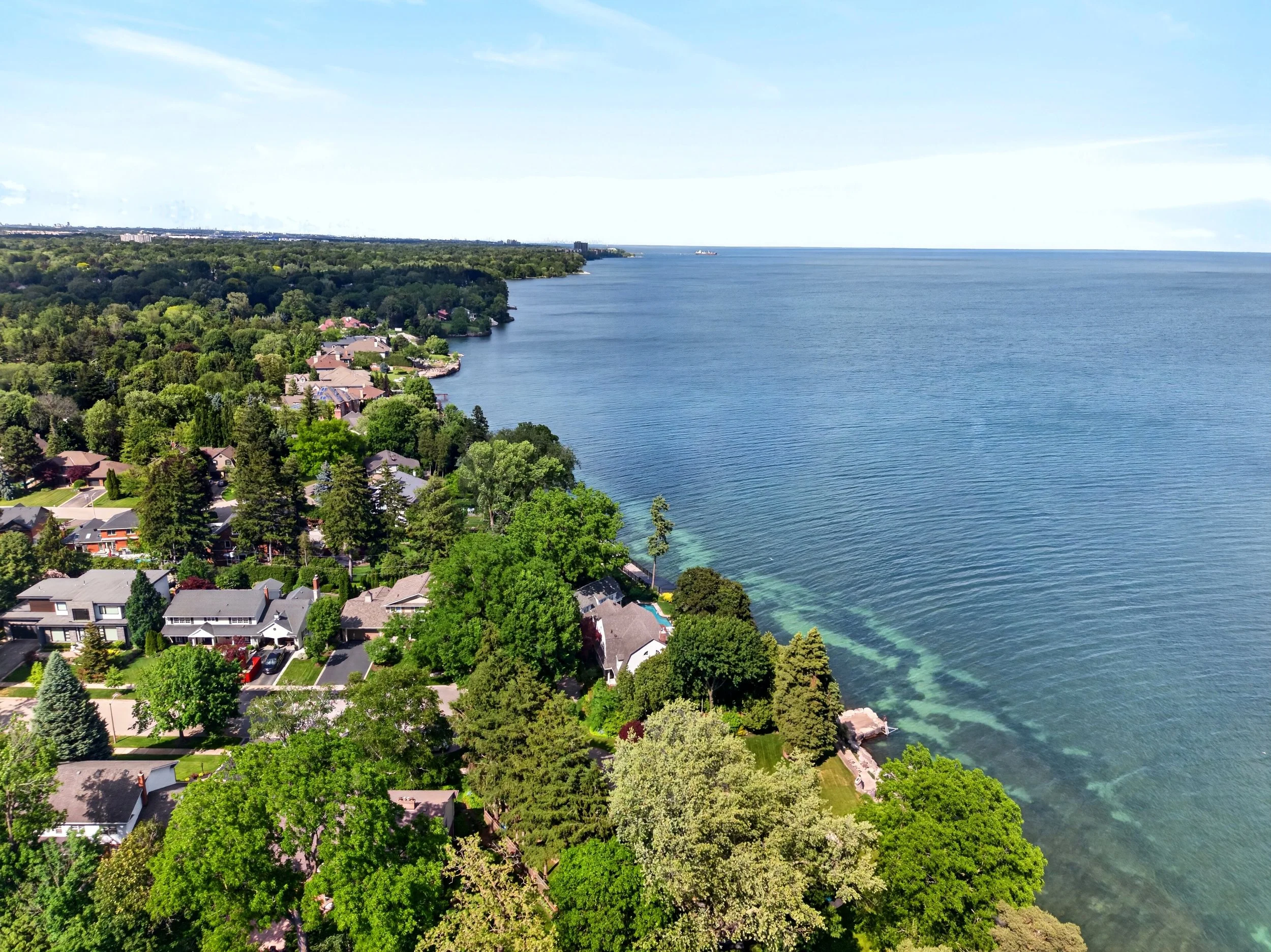 TD_0132.jpg