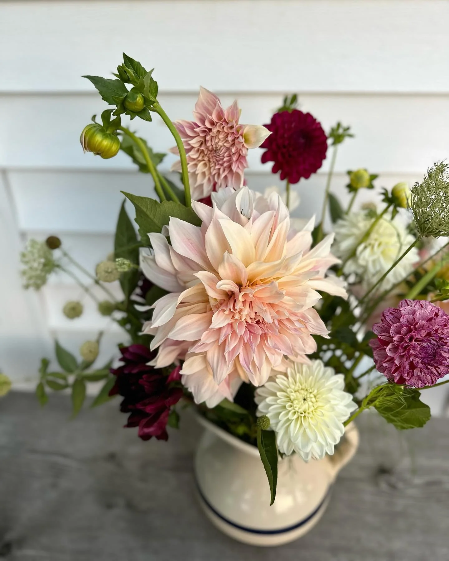 Sunset moment + Beauties in a vintage stoneware pitcher I scored today.

#dahlias #dahliaseason #michigan #michiganflowers #local #localflowers #vintage #stoneware #vintagestoneware