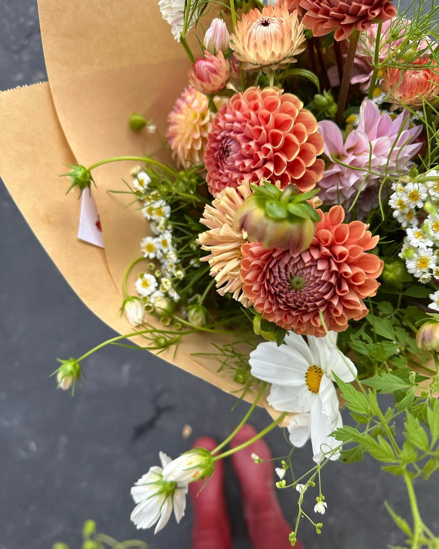 Things are moving at break-neck speed over here. We&rsquo;re adjusting to the back-to-school schedule and doing our best to establish healthy rhythms as fall approaches AND ALSO trying to savor the last of summer and life with a 2-year-old.

This spe