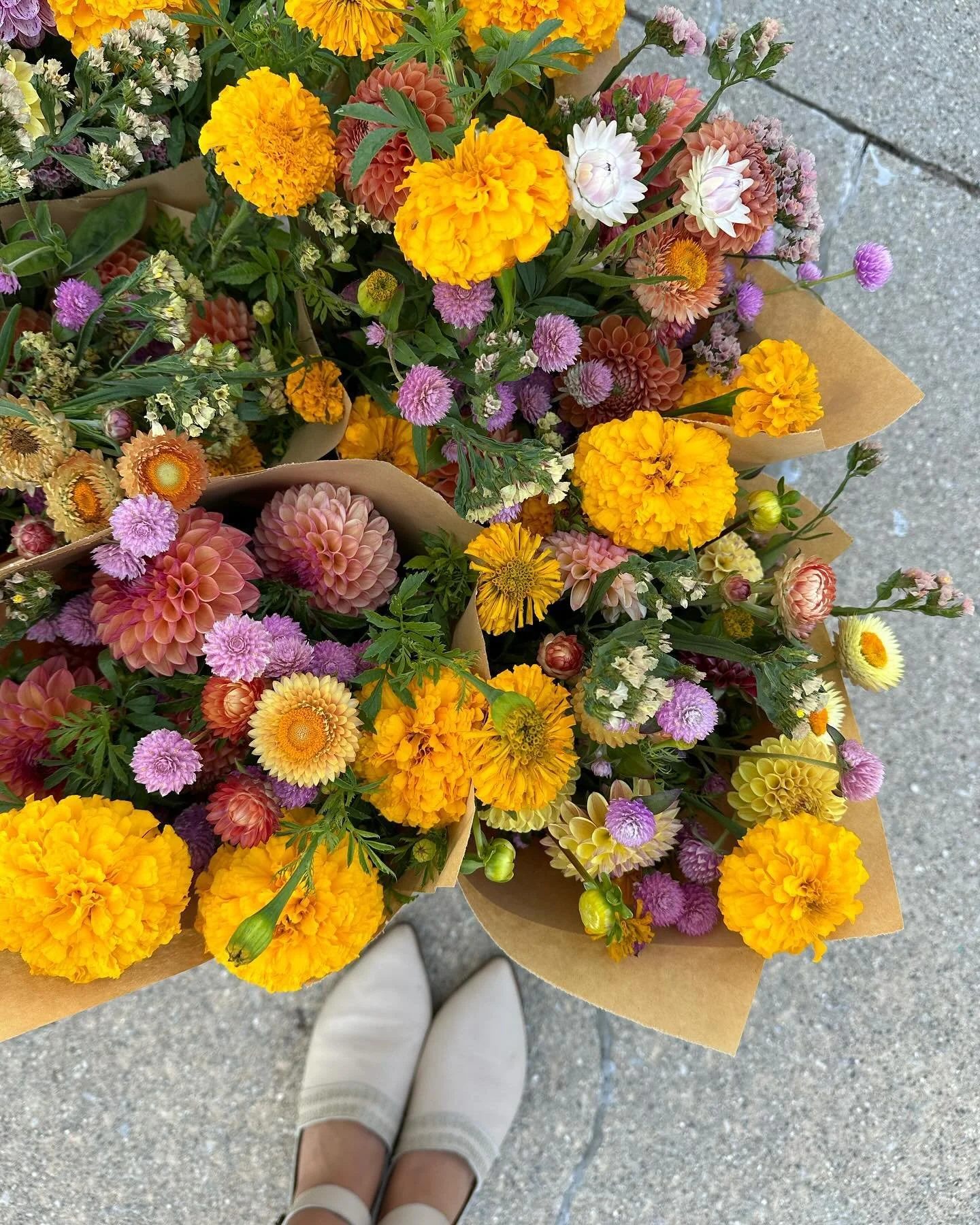 Some September days, brighter is better.

I hated (all) marigolds for a while. Last fall, @farmclubtc convinced me otherwise. 

#bouquet #bouquets #wrappedbouquet #localflowers #michiganflowers #fallpalettes #september #traversecity #marigold #marigo