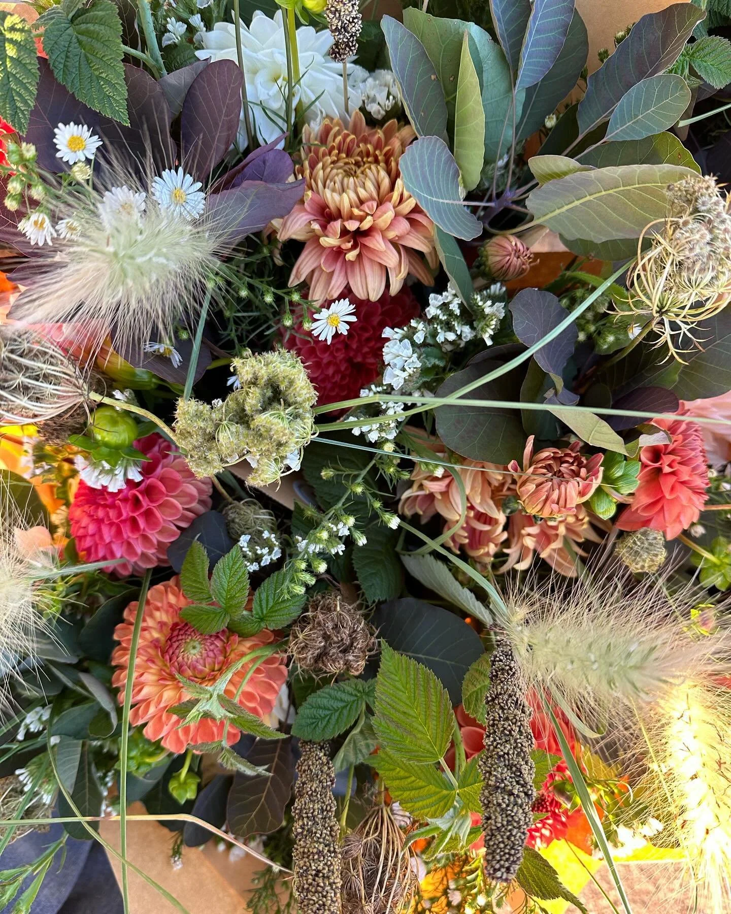 Autumn Premium Bouquet Subscriptions Week 3 

Dark + moody vibes featuring dahlias, a few heirloom mums thanks to @creeksidegrowers, textural elements, and smoke bush foliage this week. It just feels right with the changing temperatures and crisp mor