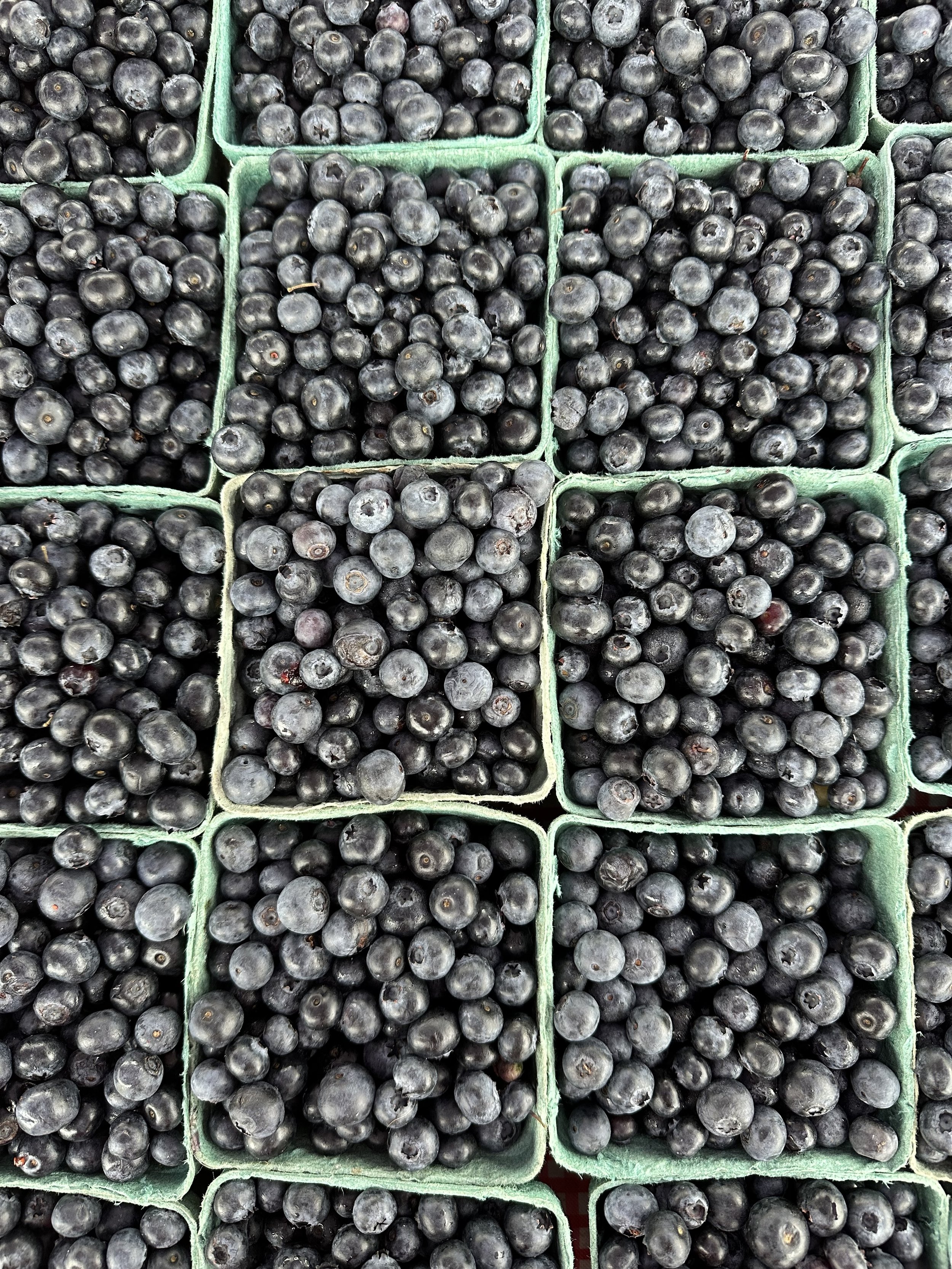 Blueberries.jpg