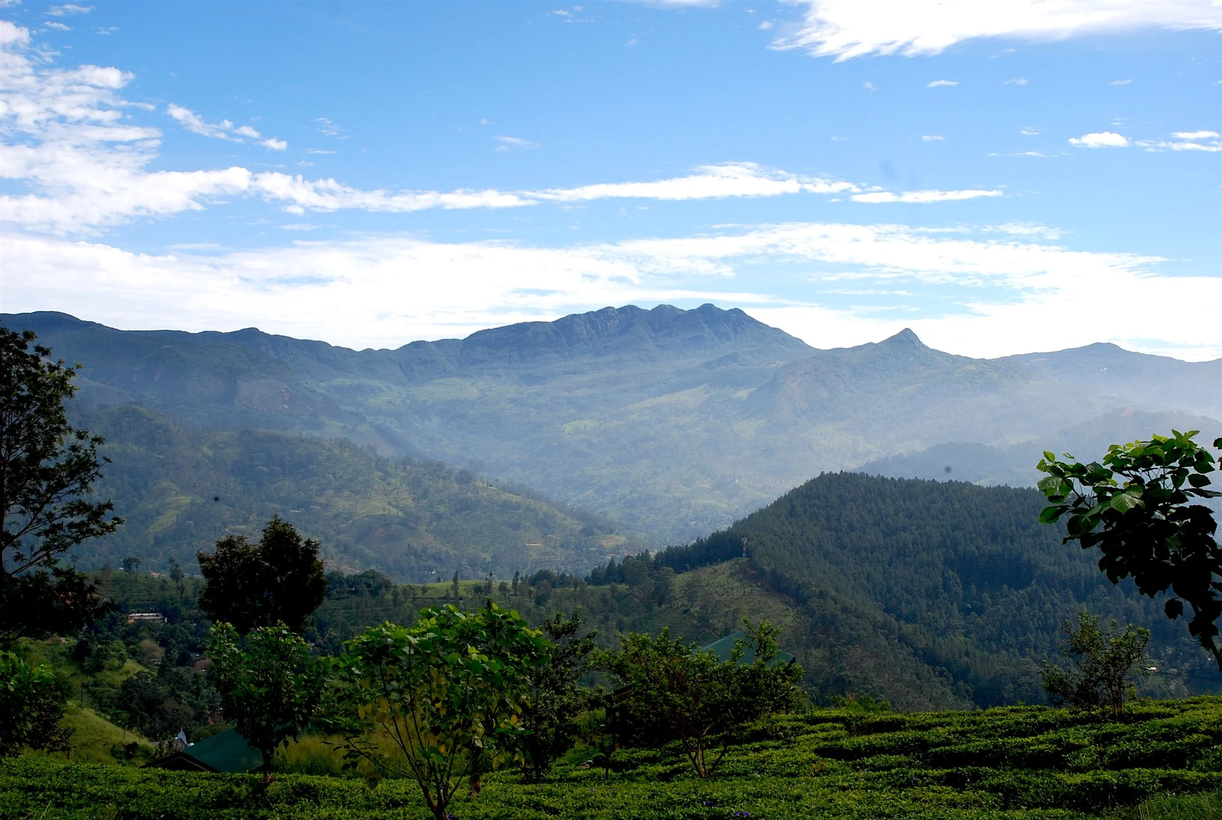 The Knuckles Mountain Range