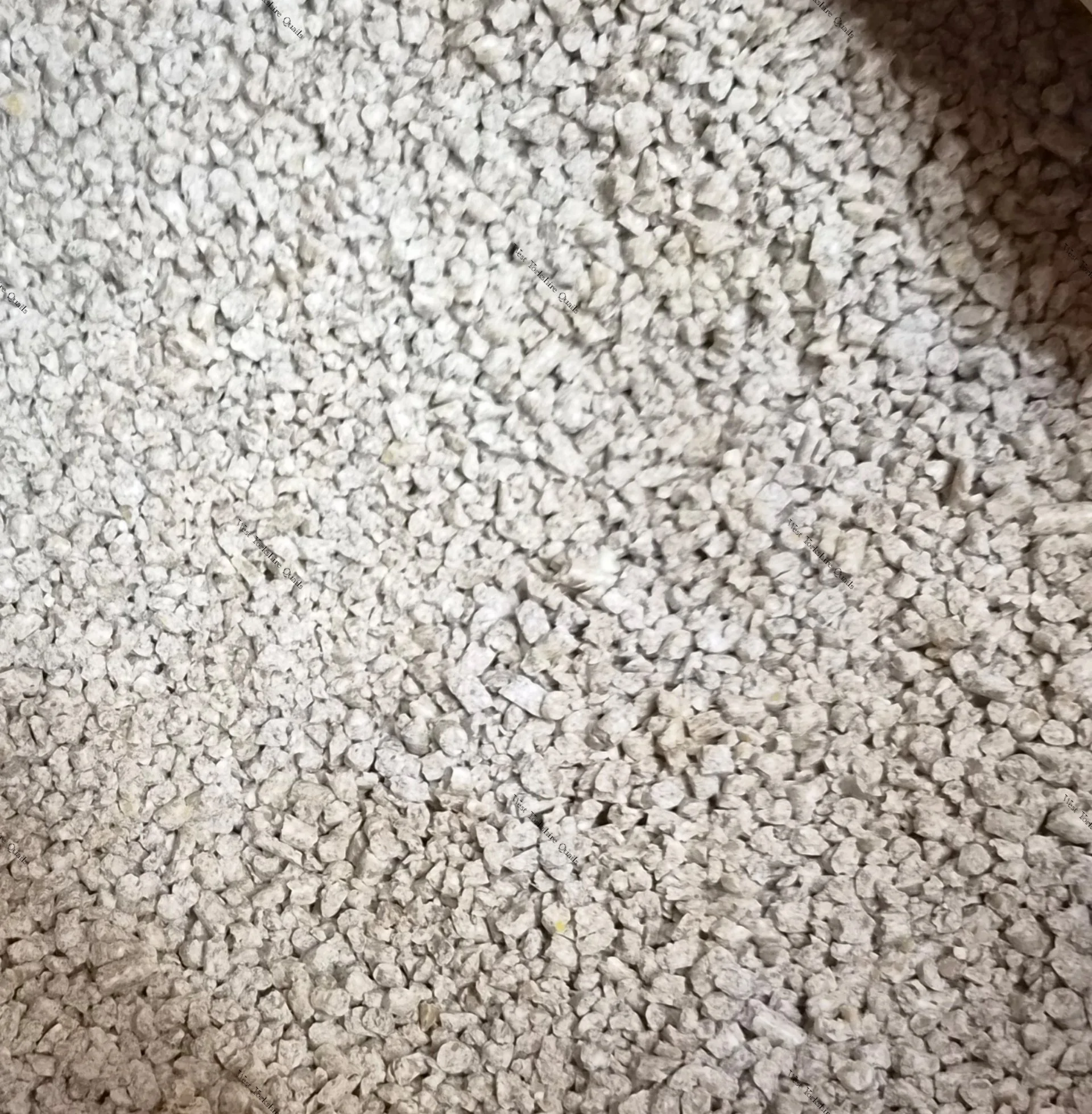 processed_4922445305a64185b1bf70decaf00f6d.jpeg