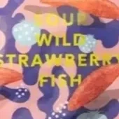 Wild%252BStrawberyy%252BFish%252BMain.webp