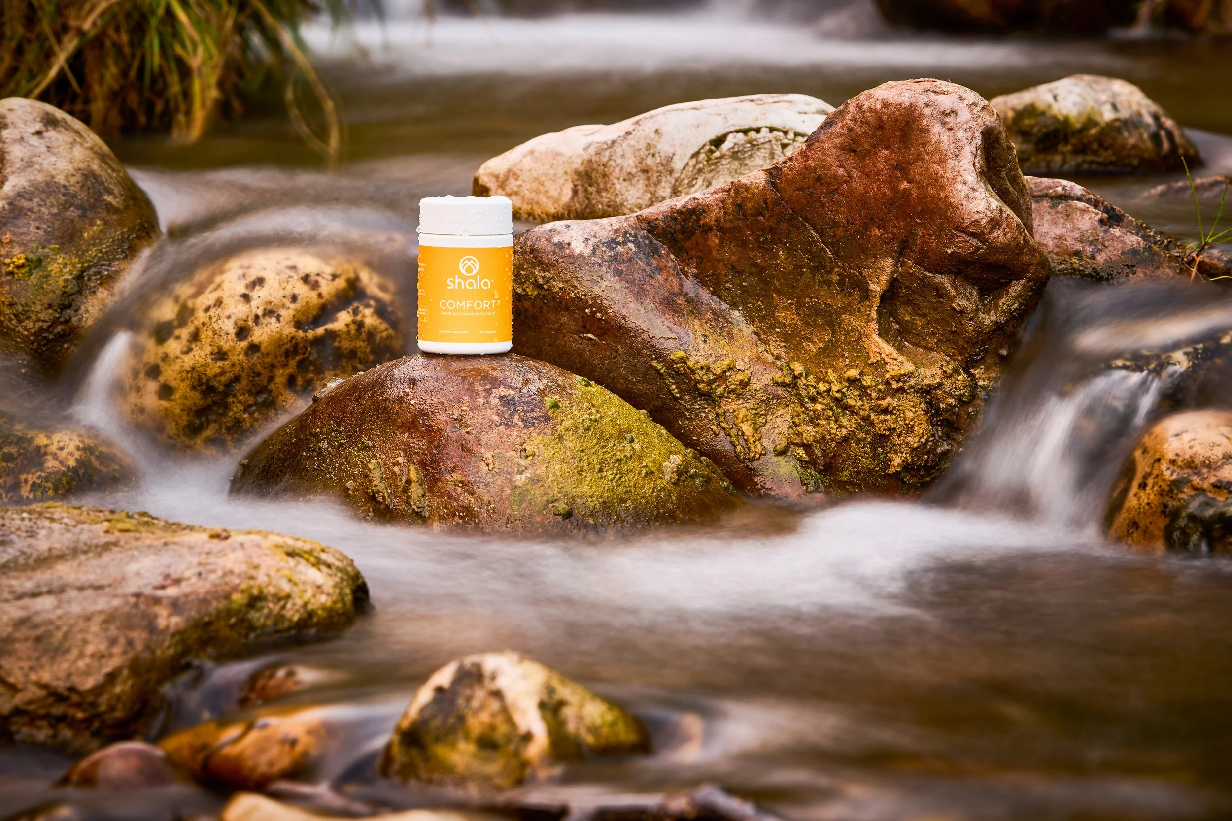 Confused on How to Start Getting Healthy? Start with Your Gut