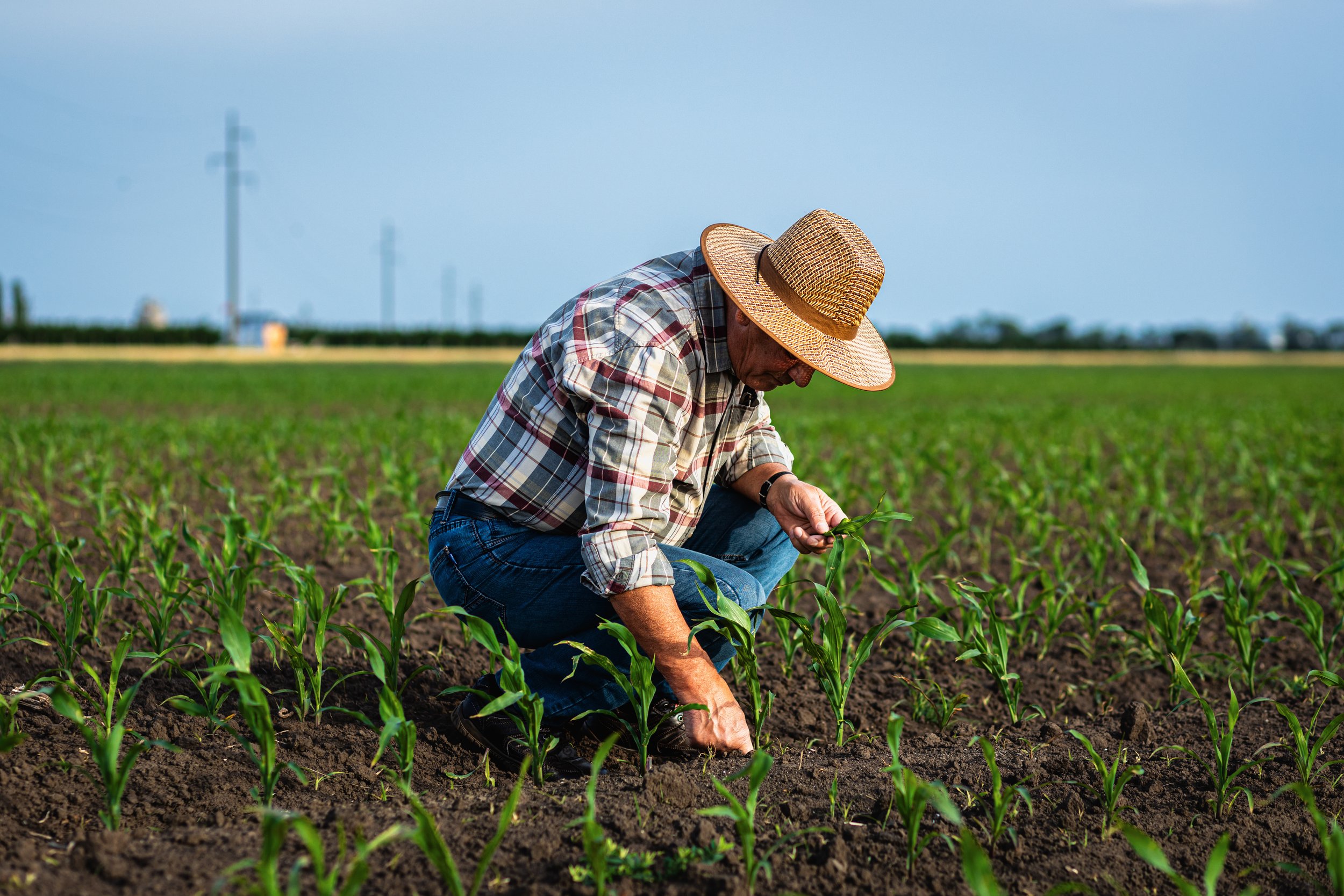 Farmers Are Facing Economic Crisis