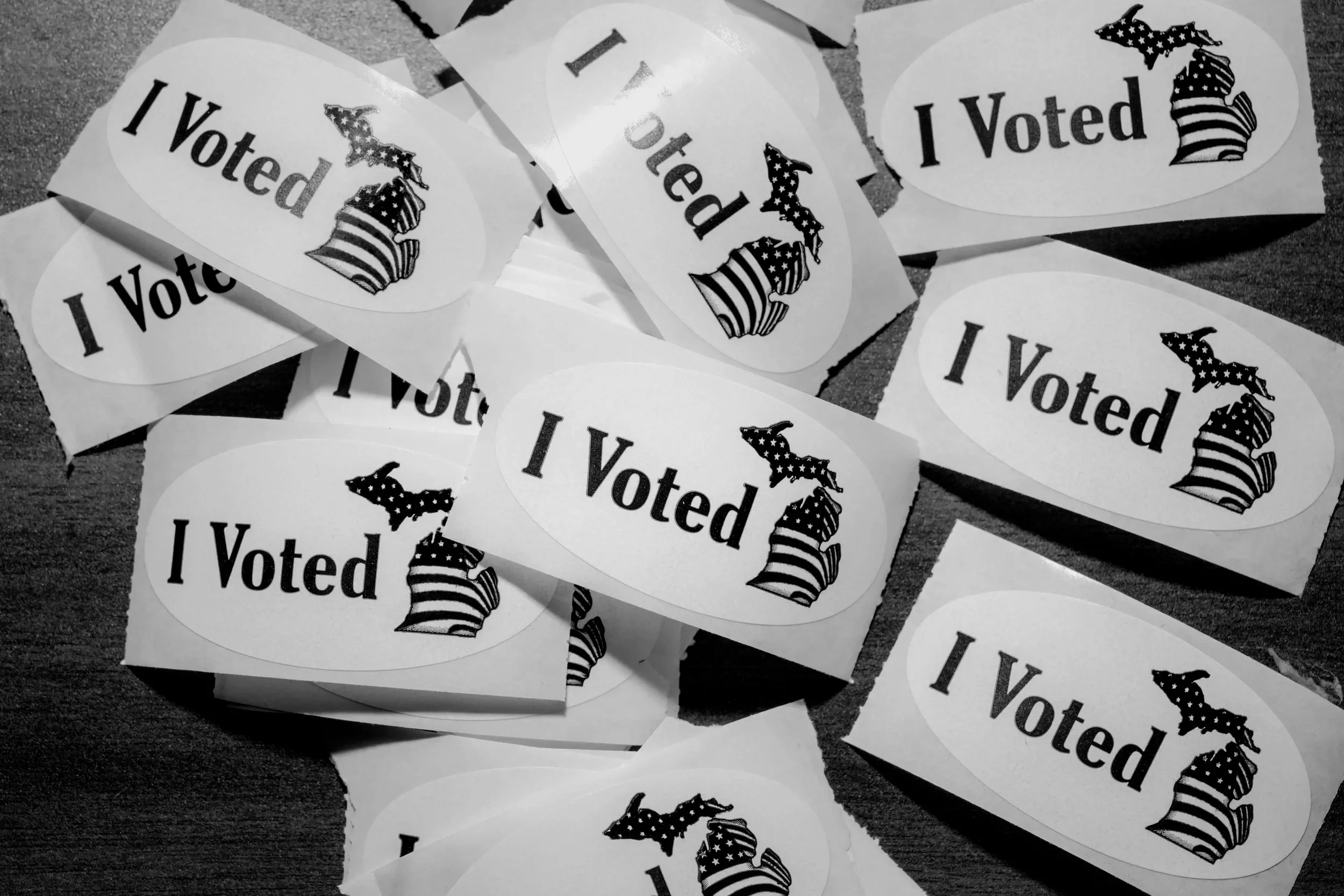From Eligibility to Engagement: Voter Mobilization in Michigan