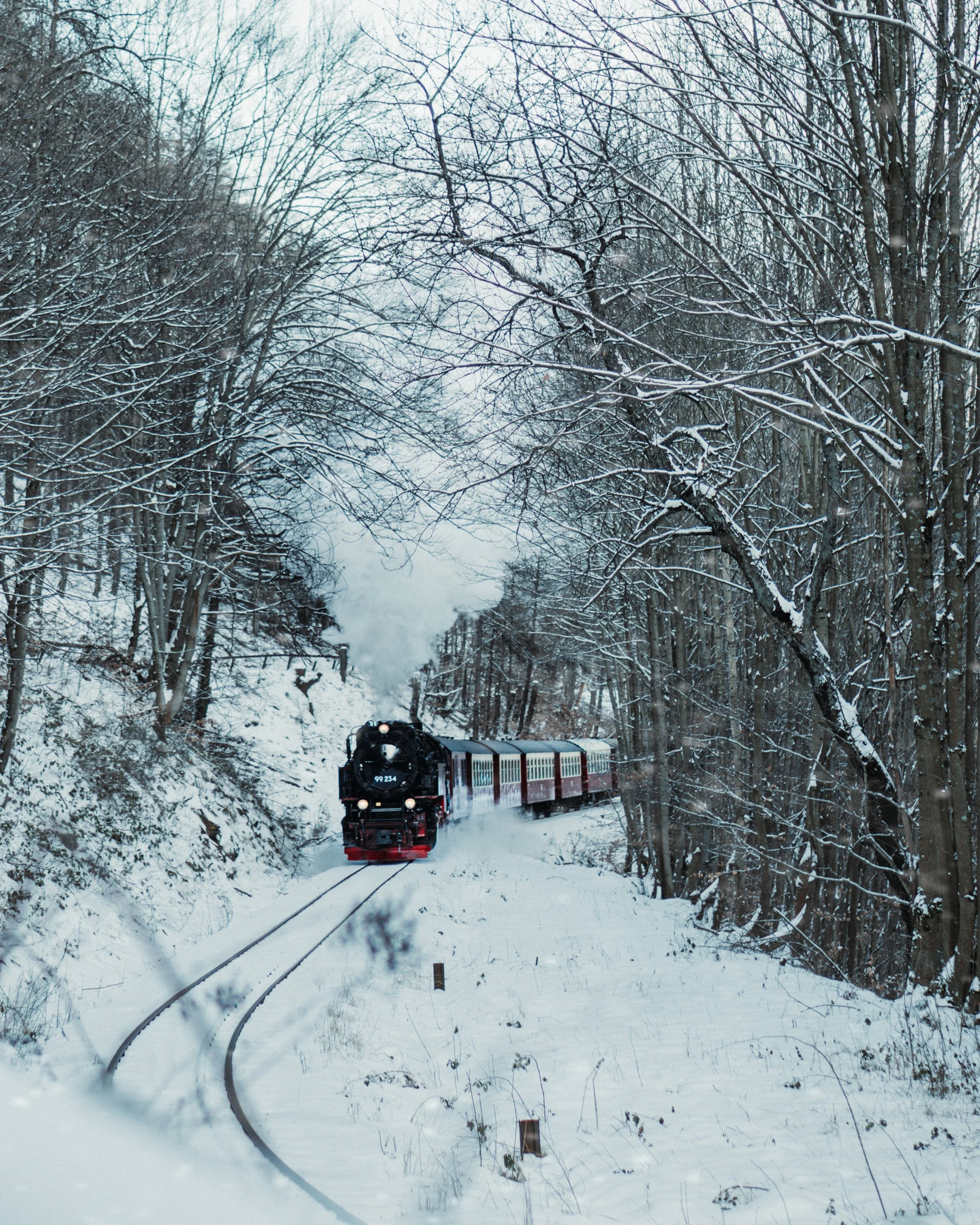 Sachsen Anhalt-17.jpg