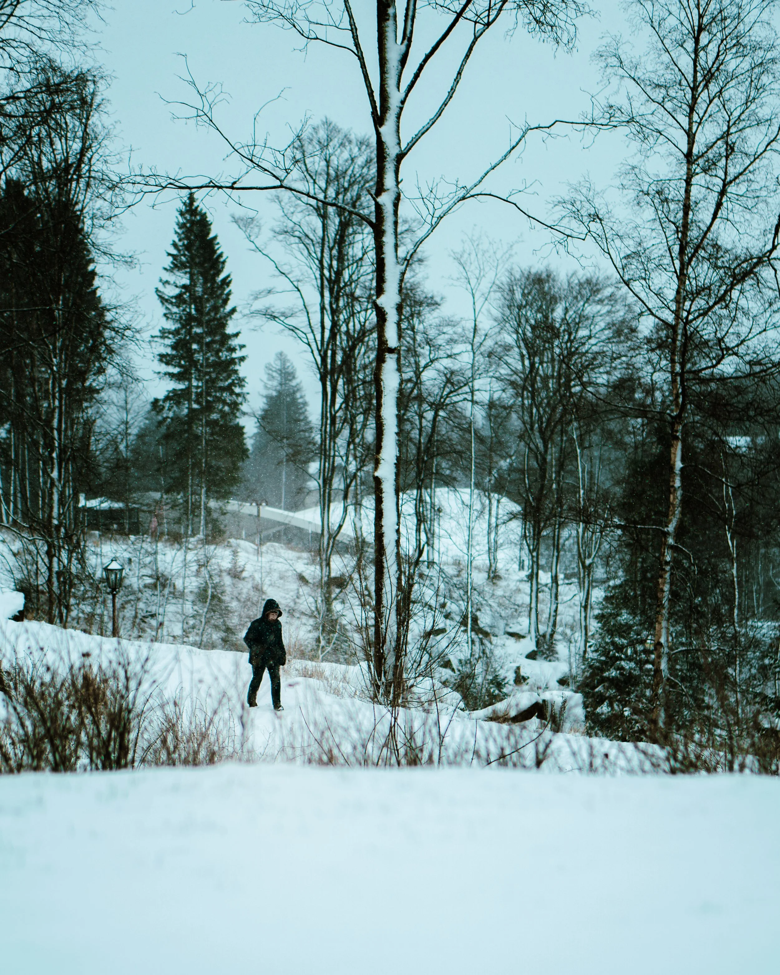 Sachsen Anhalt-1.jpg