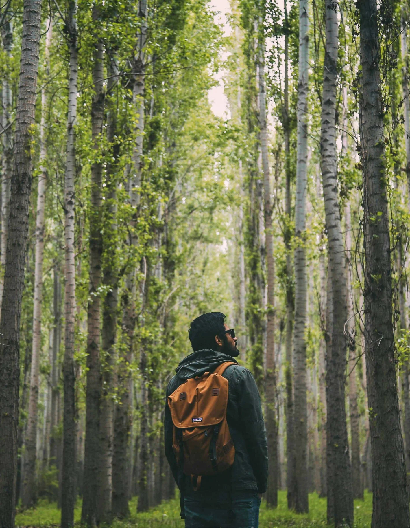 Dark-haired man in a green jacket and orange backpack pauses in the woods, struggling for a sense of direction.
