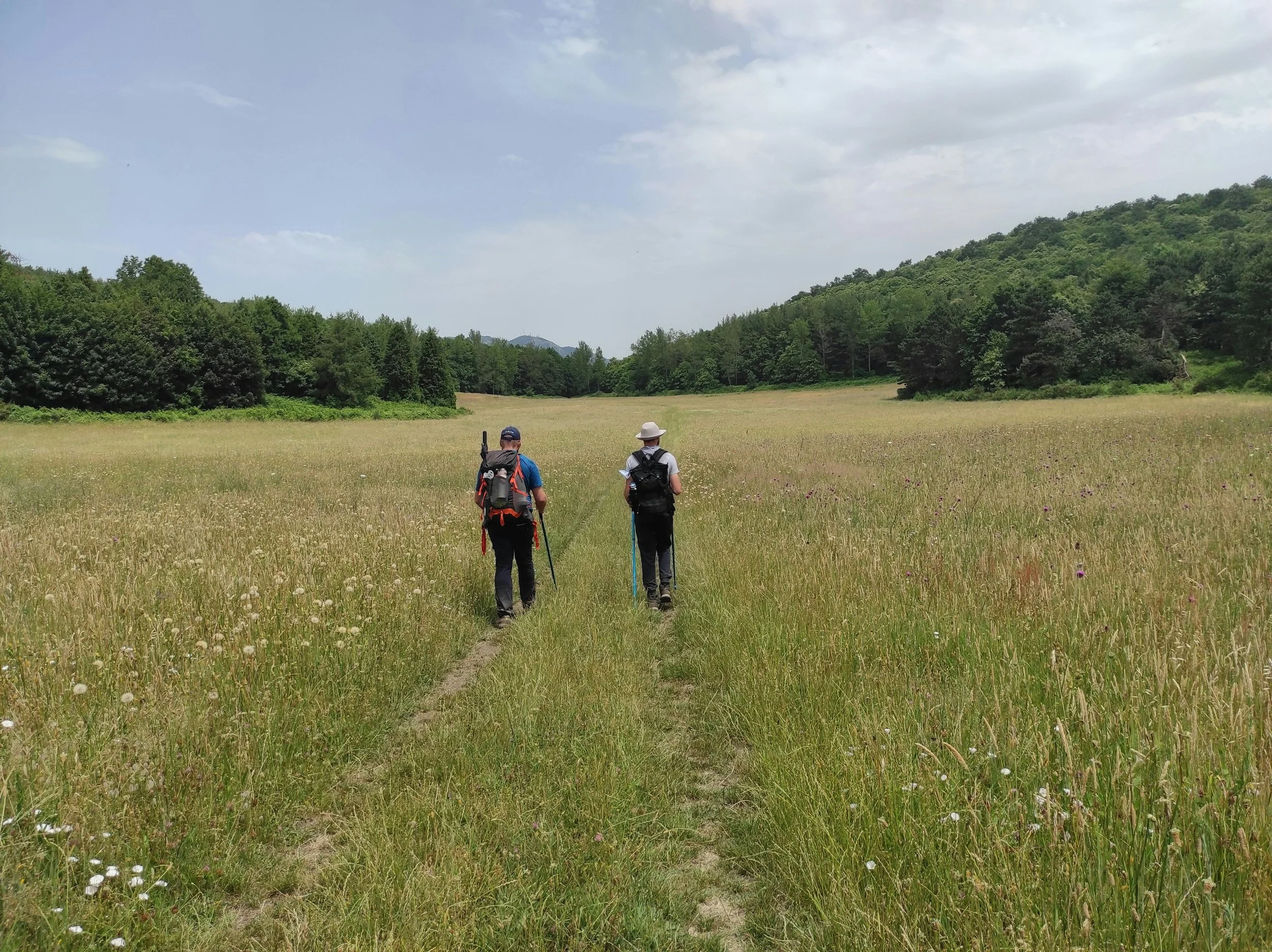 Two men hike through a wide, open field toward a forest.