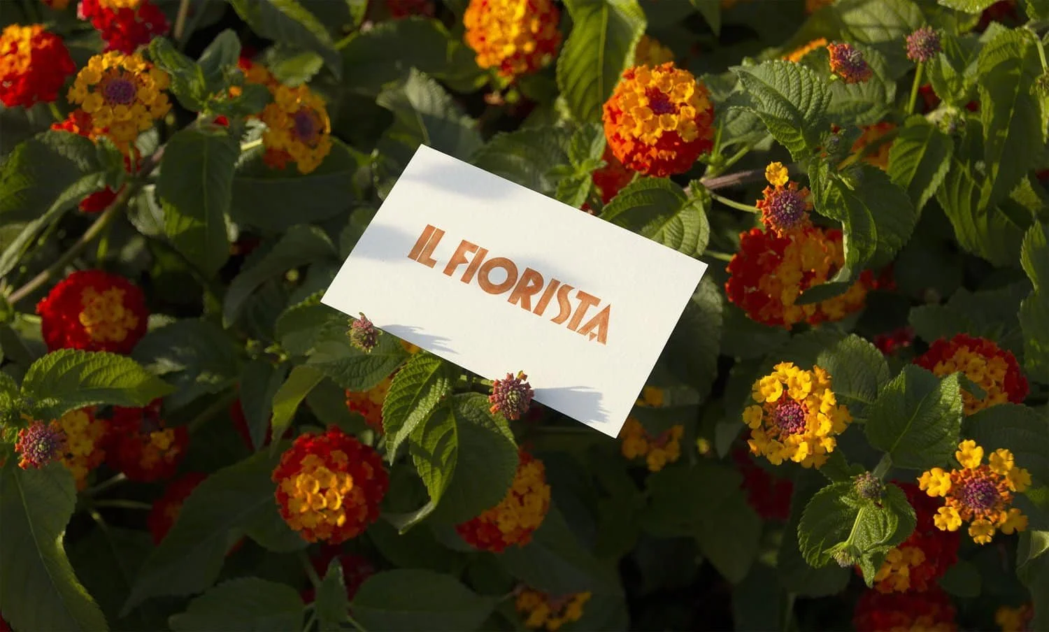 Il Fiorista card displayed among vibrant red and yellow flowers | The Morris Project