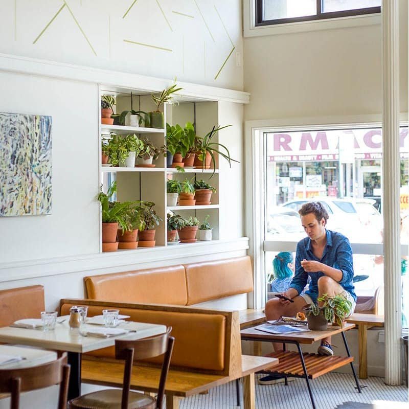 Bright corner with plants, leather seating, and natural light-filled ambiance | The Morris Project