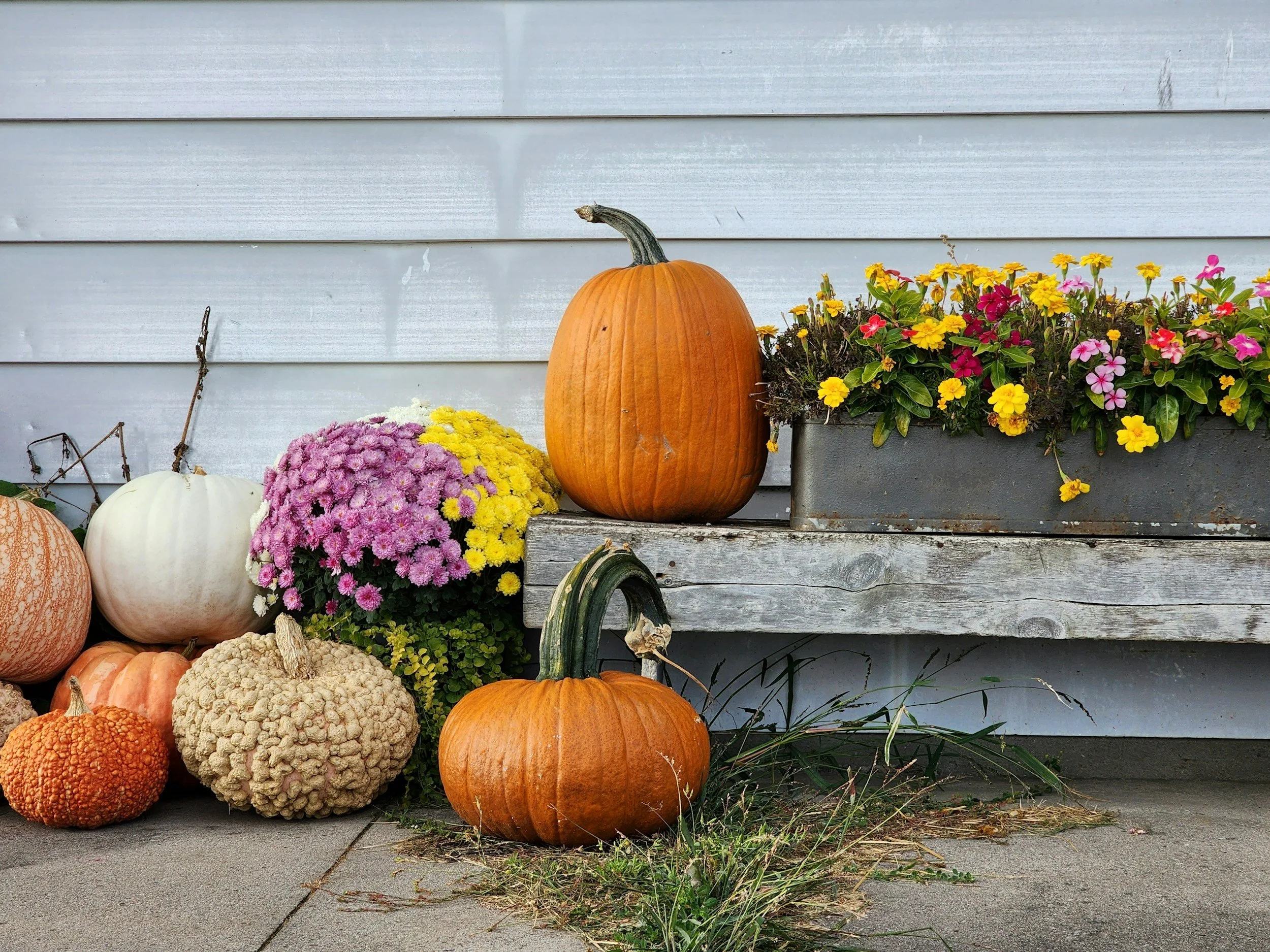 Spooky Meets Stylish: How to Use Your Landscape for Halloween Decorations 