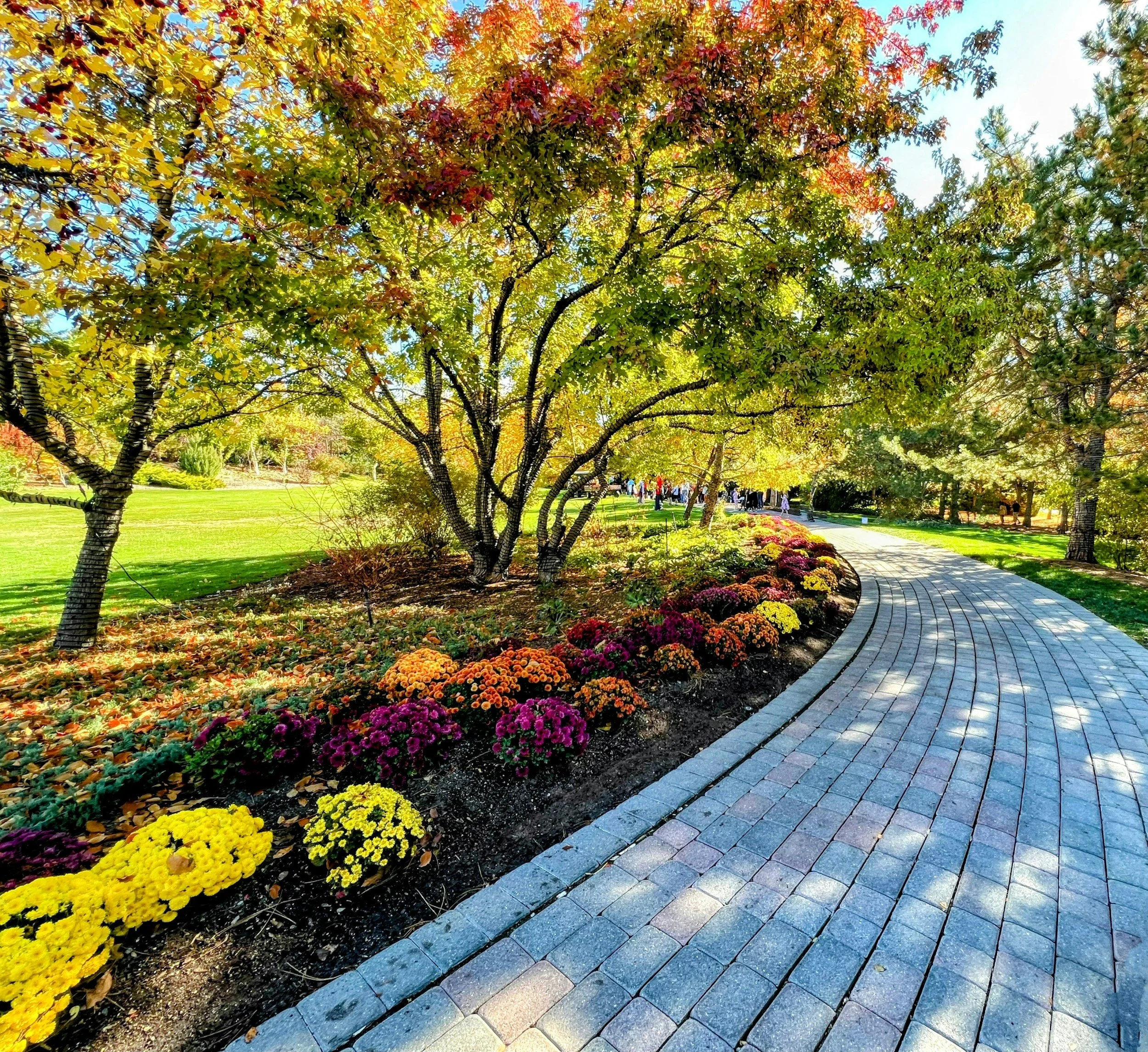 Embrace Autumn: Fall-Themed Landscaping Ideas for a Stunning Outdoor Space&nbsp;