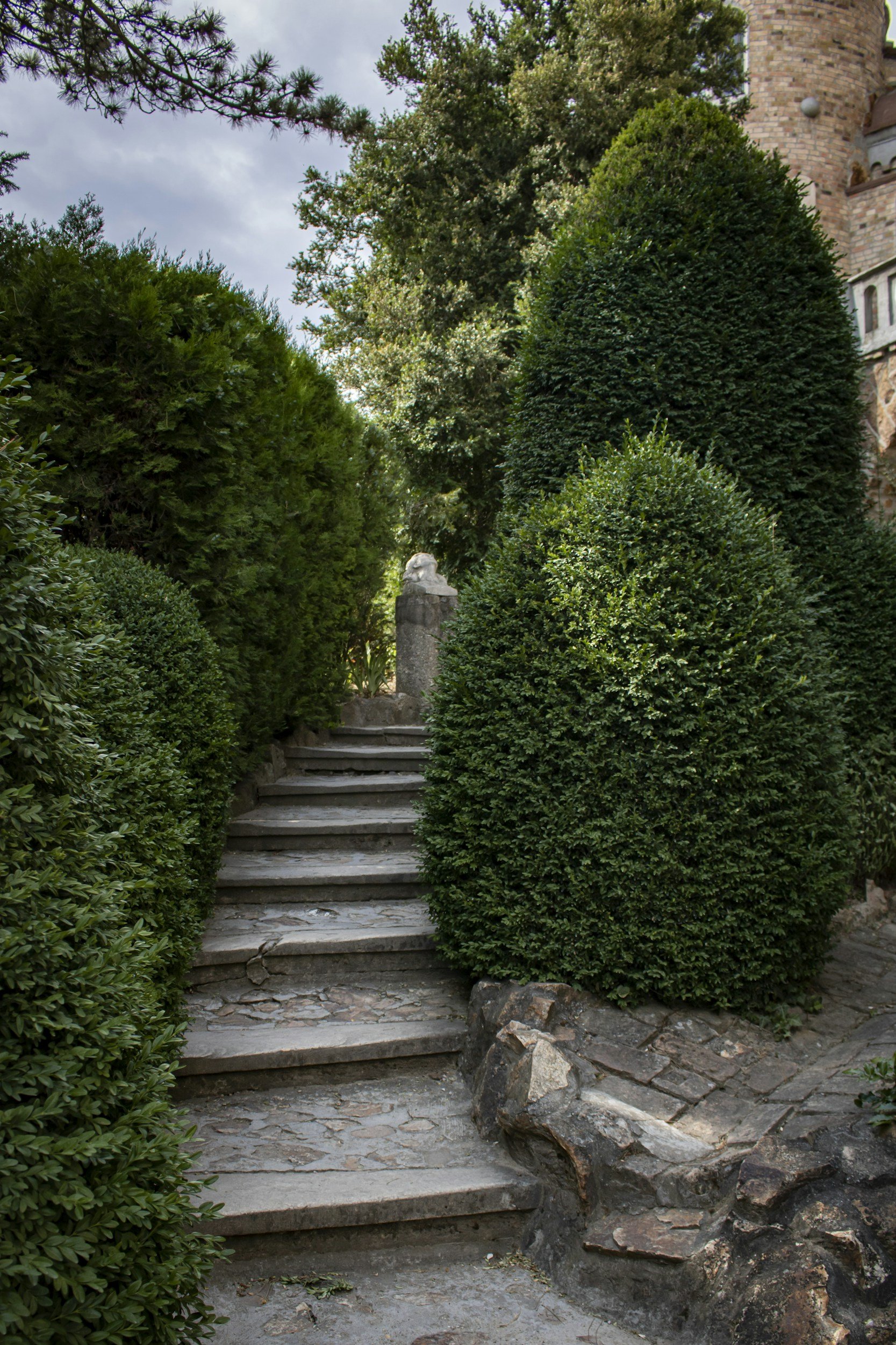 The Ultimate Guide to Bush/Shrub Care and Maintenance&nbsp;