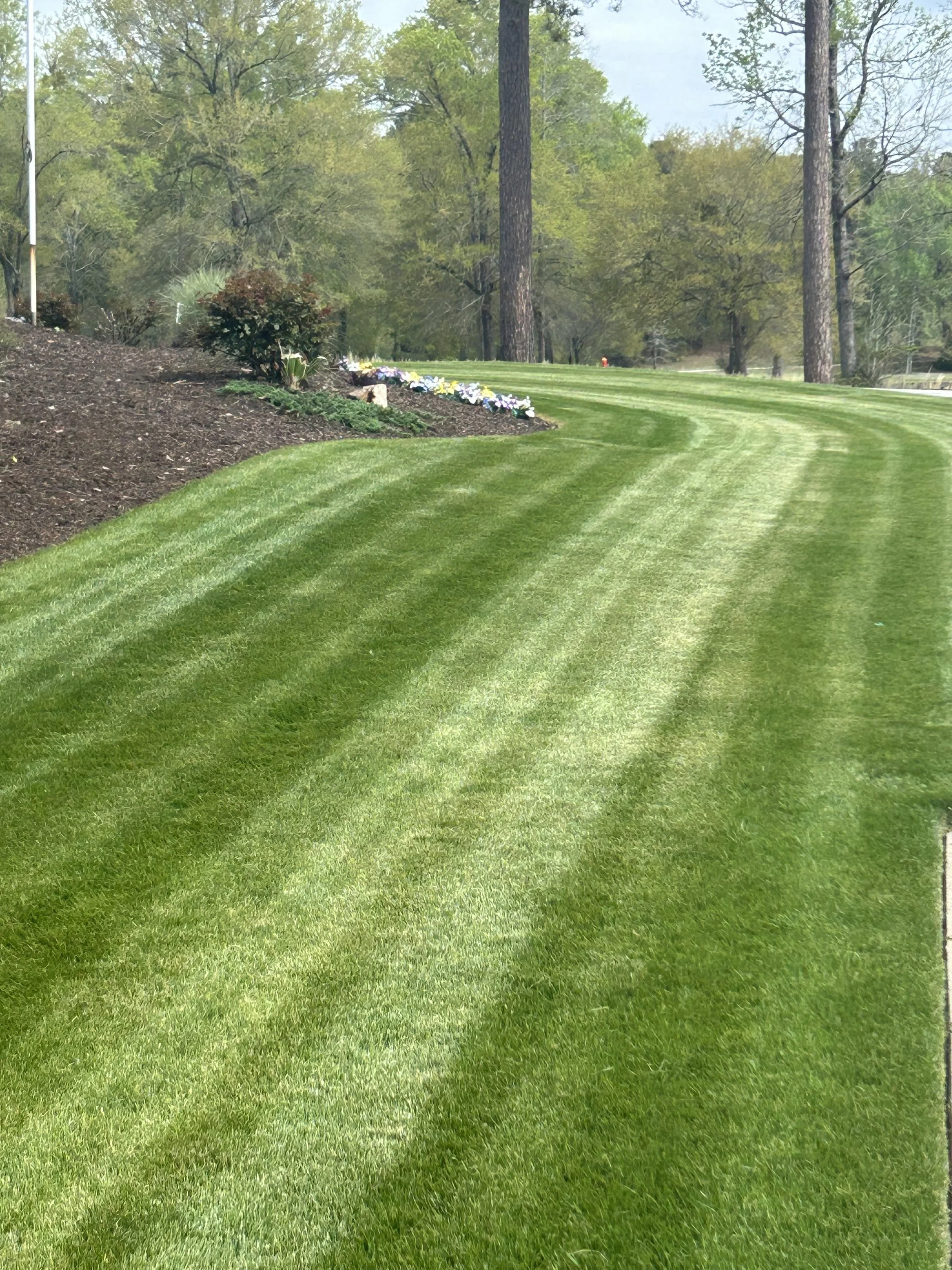 Why Is My Grass Yellow After Mowing? (Full Guide for CSRA Homeowners)by CSRA Ground Control