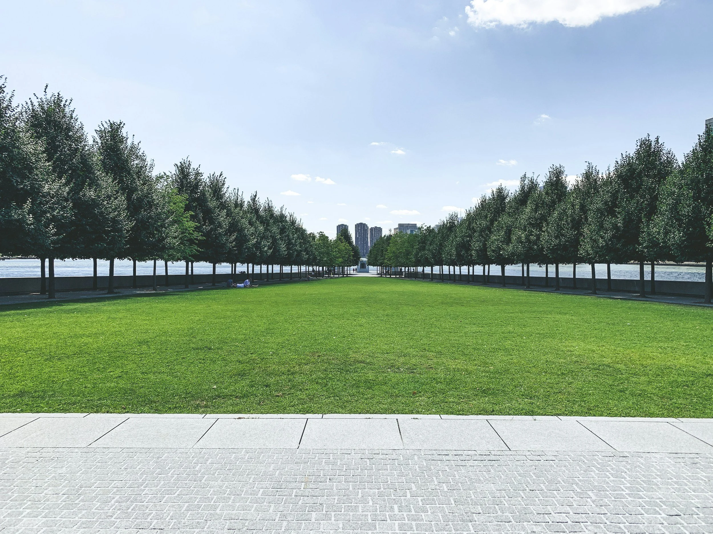 A grassy park area with a row of trees on either side, a walkway in the foreground, with a city skyline and water in the background, under a blue sky with few clouds.