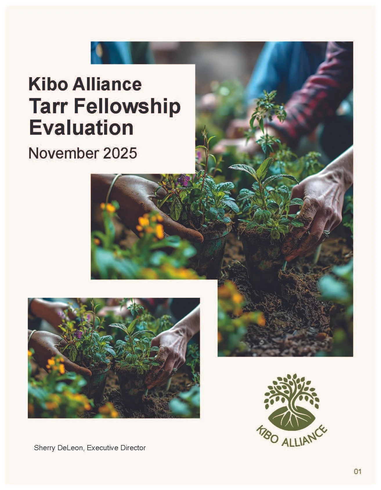 Tarr Fellowship Evaluation