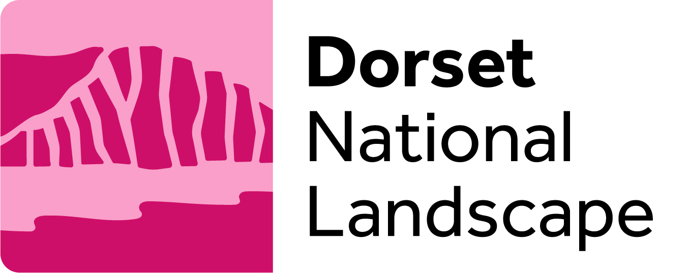 Stylized pink and purple landscape illustration with trees alongside the text "Dorset National Landscape" in bold black letters.