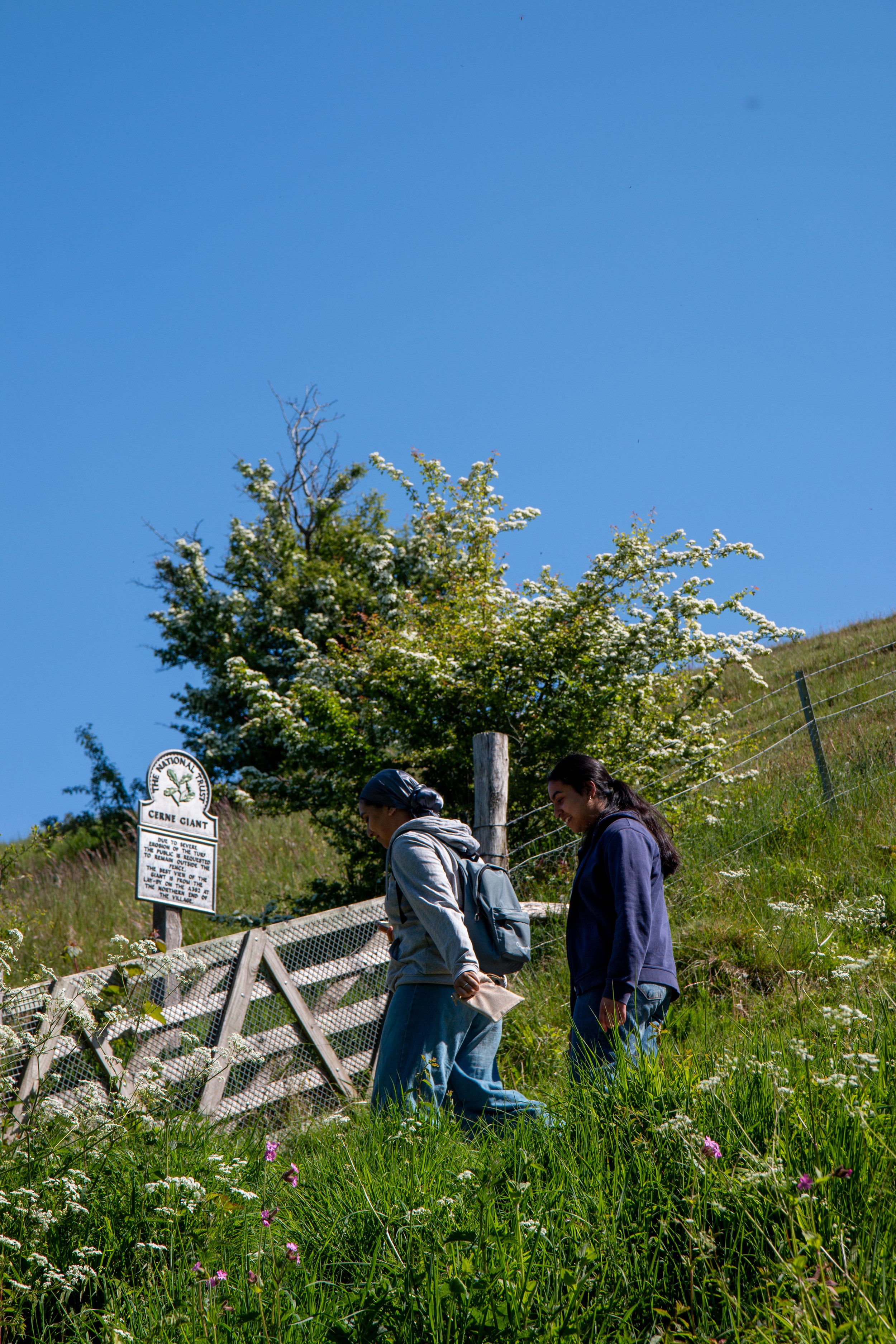 Nature-Calling-CerneAbbas2-AR-034.jpg