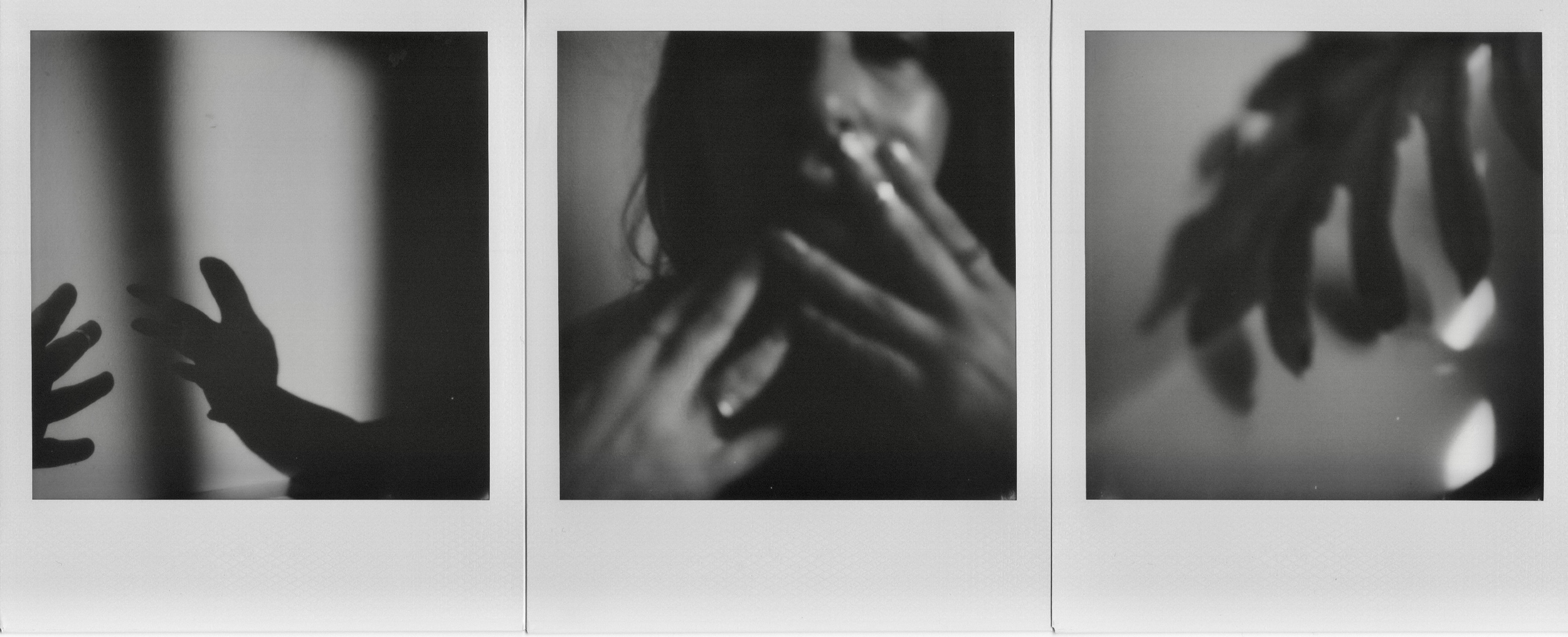 In the Palm of the Erotic
