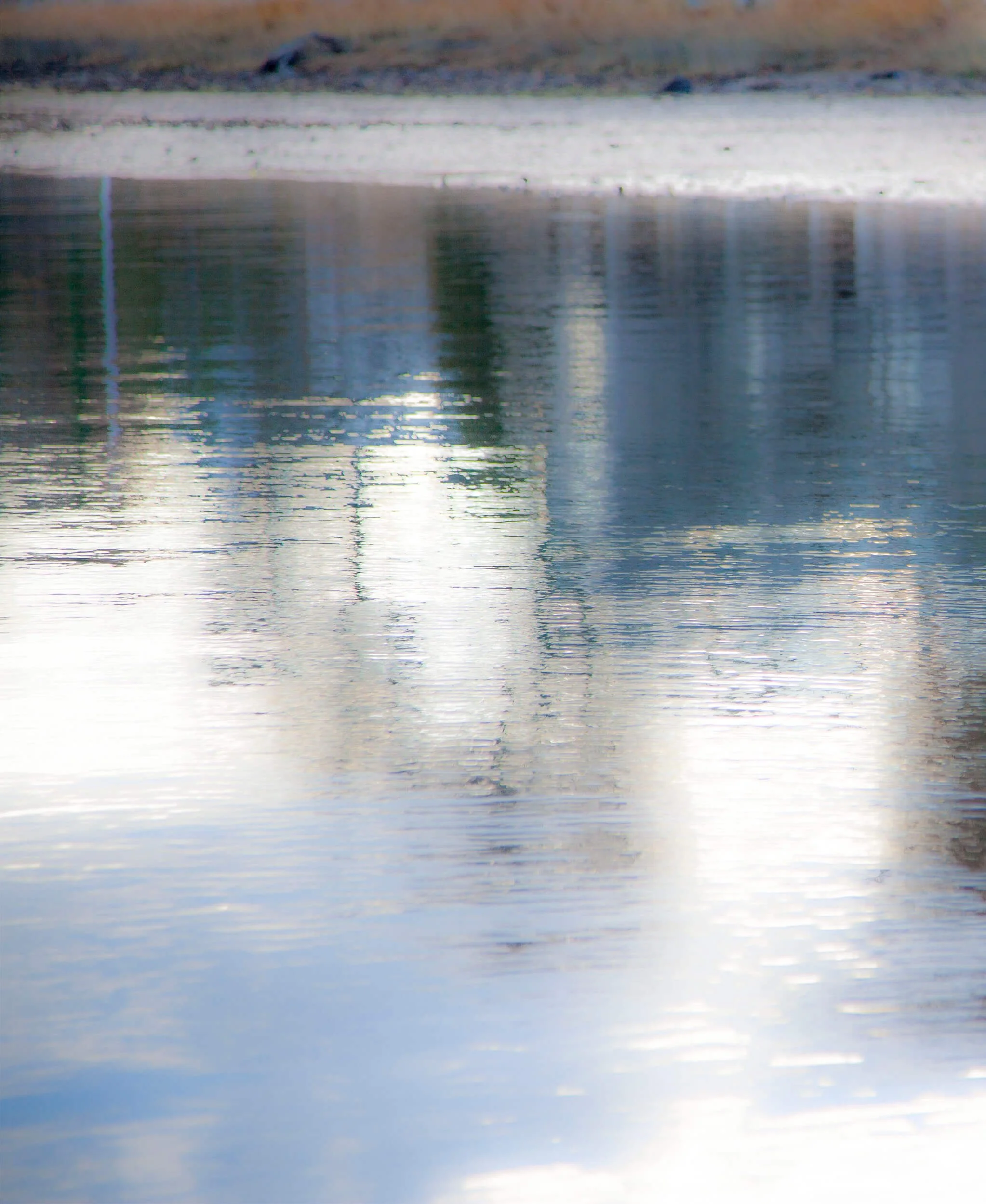 Sapphire by Catherine Hartigan Photography