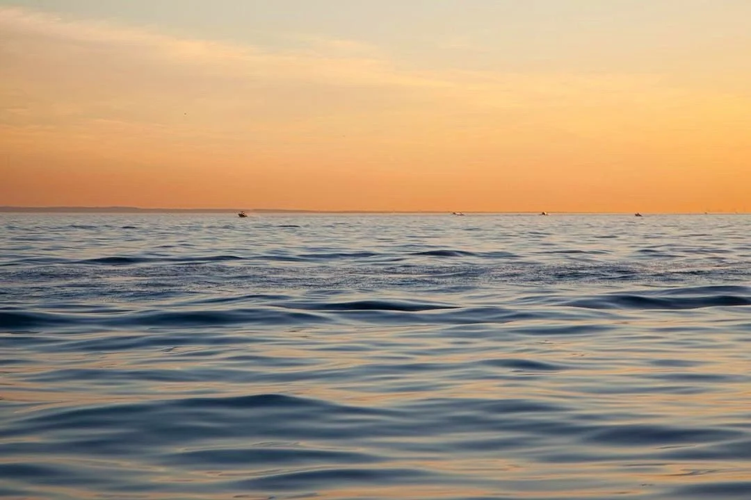 Last light, last ride, last perfect moment on the water this season. ✨🚤
.
📷catherine_hartigan_photography
📍Long Island Sound, CT
.
.
.
.
.
.
.
.
.
.
#boatingseason #boatinglife #onthewater #longislandsound #catherinehartiganphotography #waterphoto