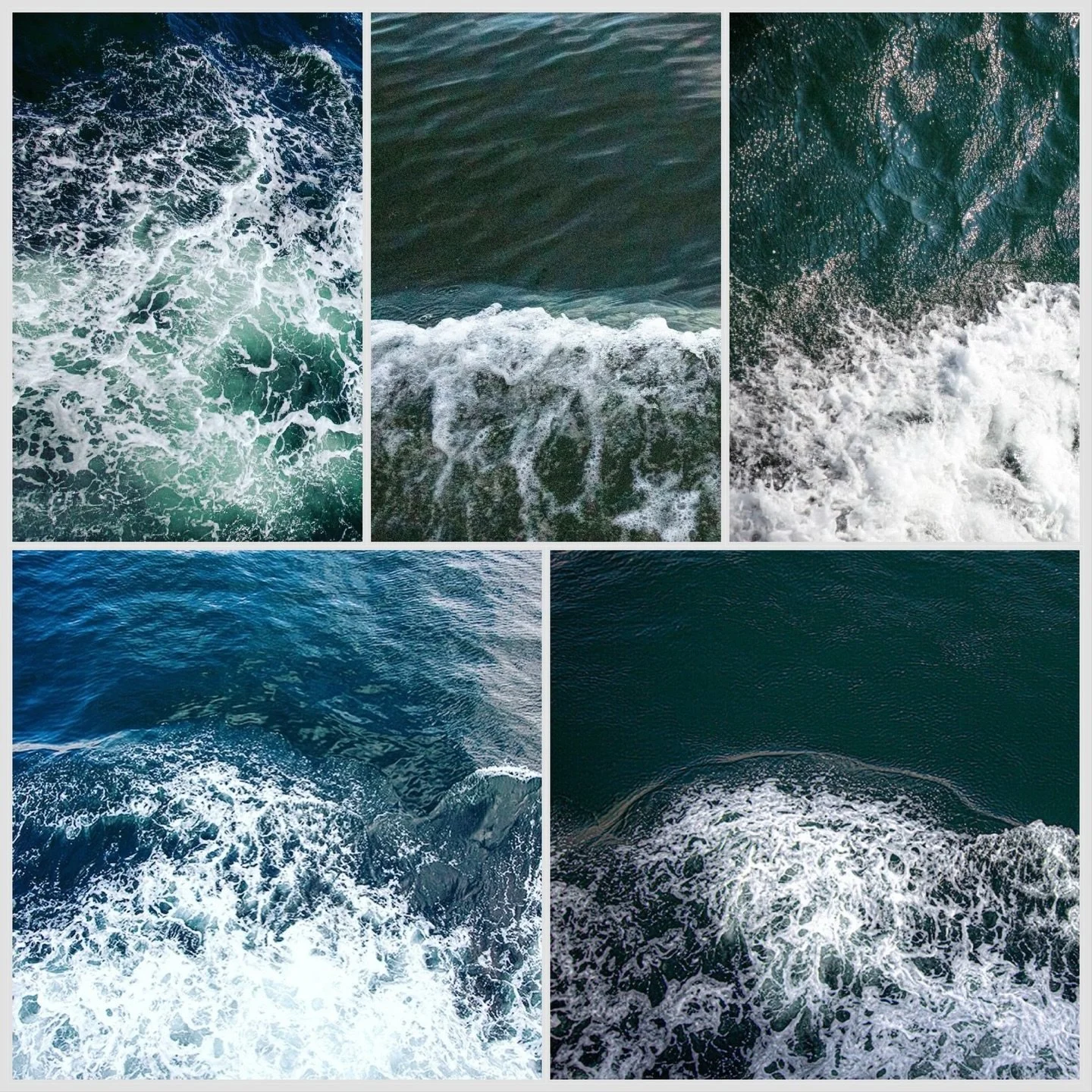 So many ways that the ocean speaks to us.🌊
.
📷 @catherine_hartigan_photography 
📍Martha&rsquo;s Vineyard, MA
.
.
.
.
.
.
.
.
.
.
#onthewater #oceanwhispers #oceanminded_arts #catherinehartiganphotography #waterphotography #oceanview #wavesonwaves 