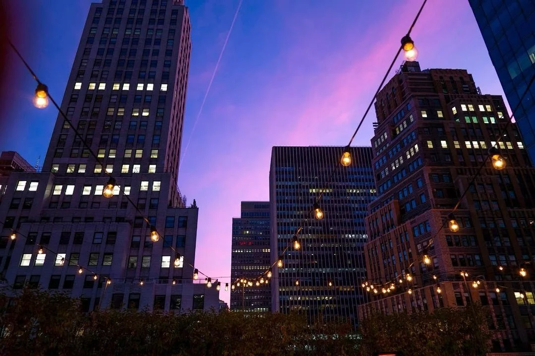Rooftop magic in the heart of NYC. 💜 
.
📷 @catherine_hartigan_photography
📍Midtown, NYC
.
.
.
.
.
.
.
.
.
.
#nycphotography #midtownnyc #inthecity #citysnaps #nyc #nycrooftop #ontheroof #cityscapes #catherinehartiganphotography #purplesky #purpler