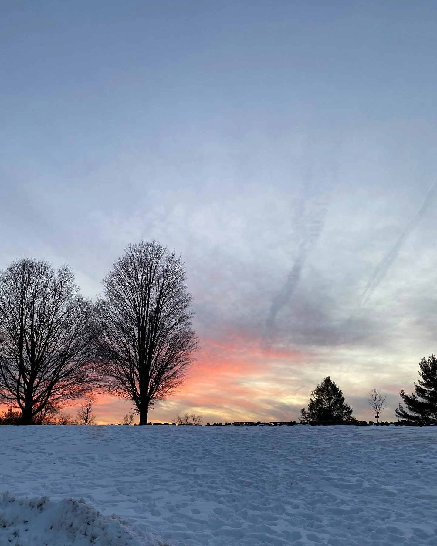 Sky wrapped in winter hues.  .
📷 @catherine_hartigan_photography
📍Wilton, CT
.
.
.
.
.
.
.
.
.
.
#catherinehartiganphotography #sunset_captures_ #winterlandscape❄️ #newenglandskies #wintercolors