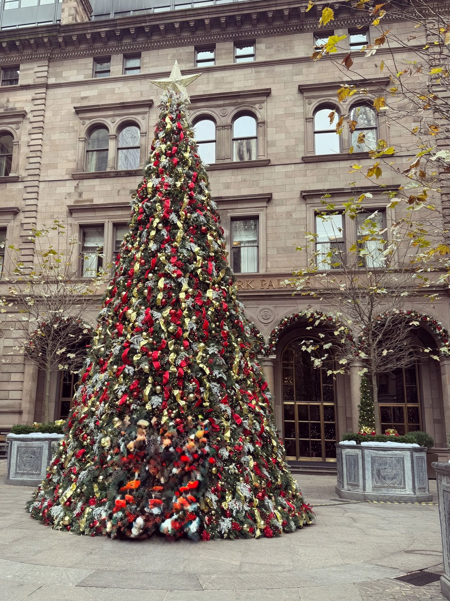 Merry Christmas!! 🎄 
Hope you are somewhere cozy today. 
Bring on the snow! ❄️ 
.
📷 @catherine_hartigan_photography
📍New York City
.
.
.
.
.
.
.
.
.
.
#catherinehartiganphotography #merrymerry #merrychristmas #christmasinnyc #christmastime